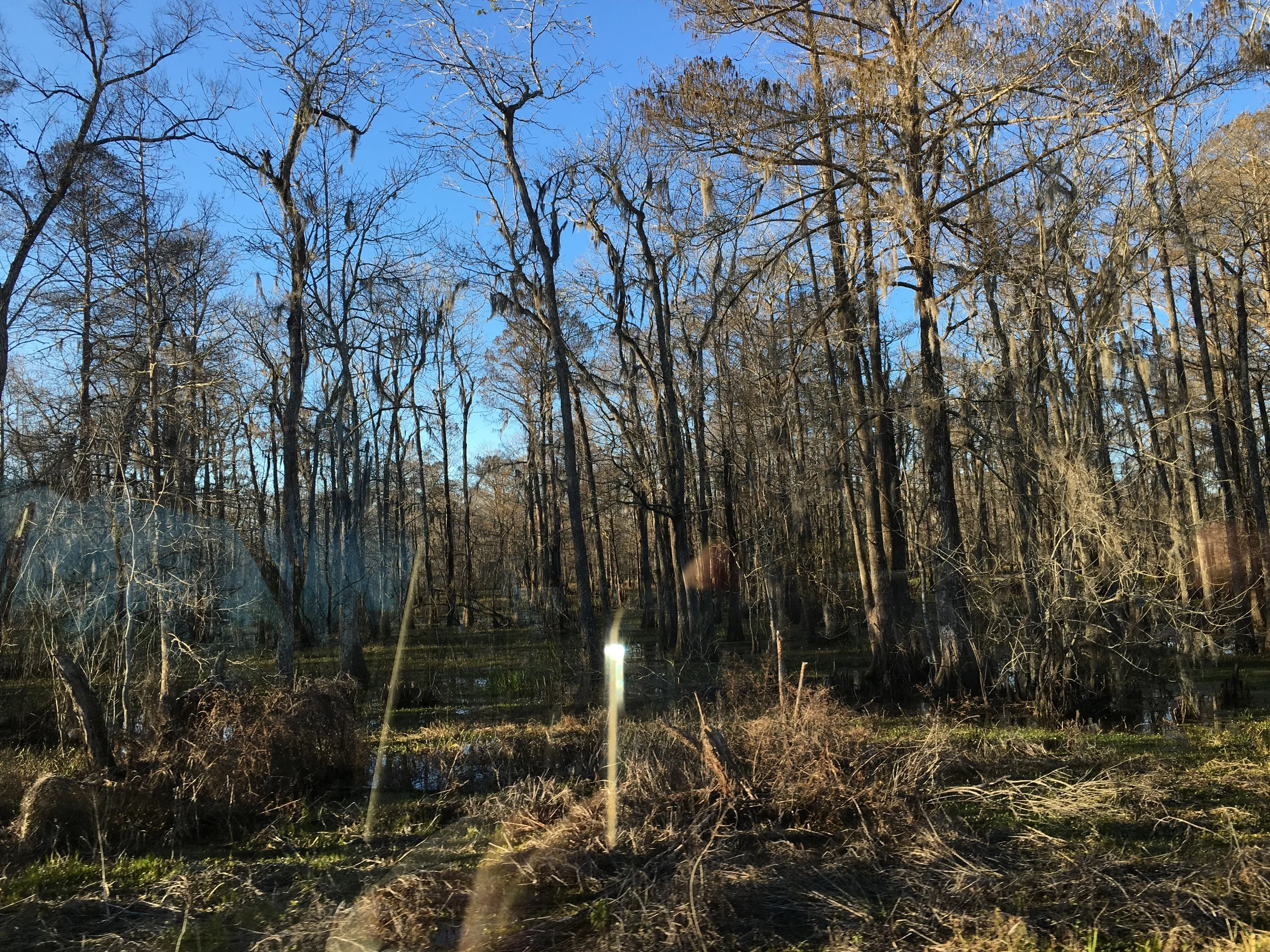 Miles and miles of Interstate 10 over the bayou