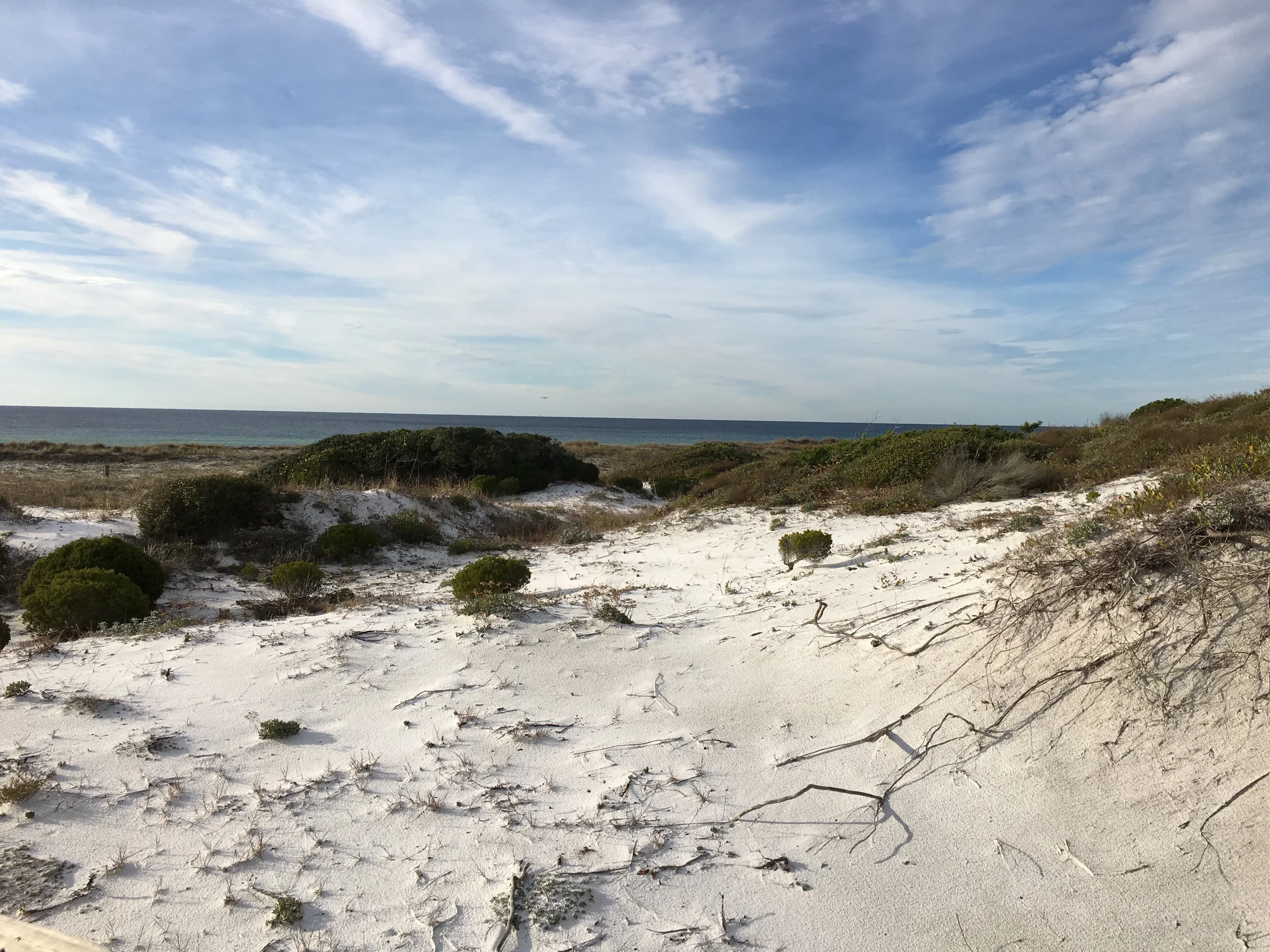 Edisto Island, South Carolina