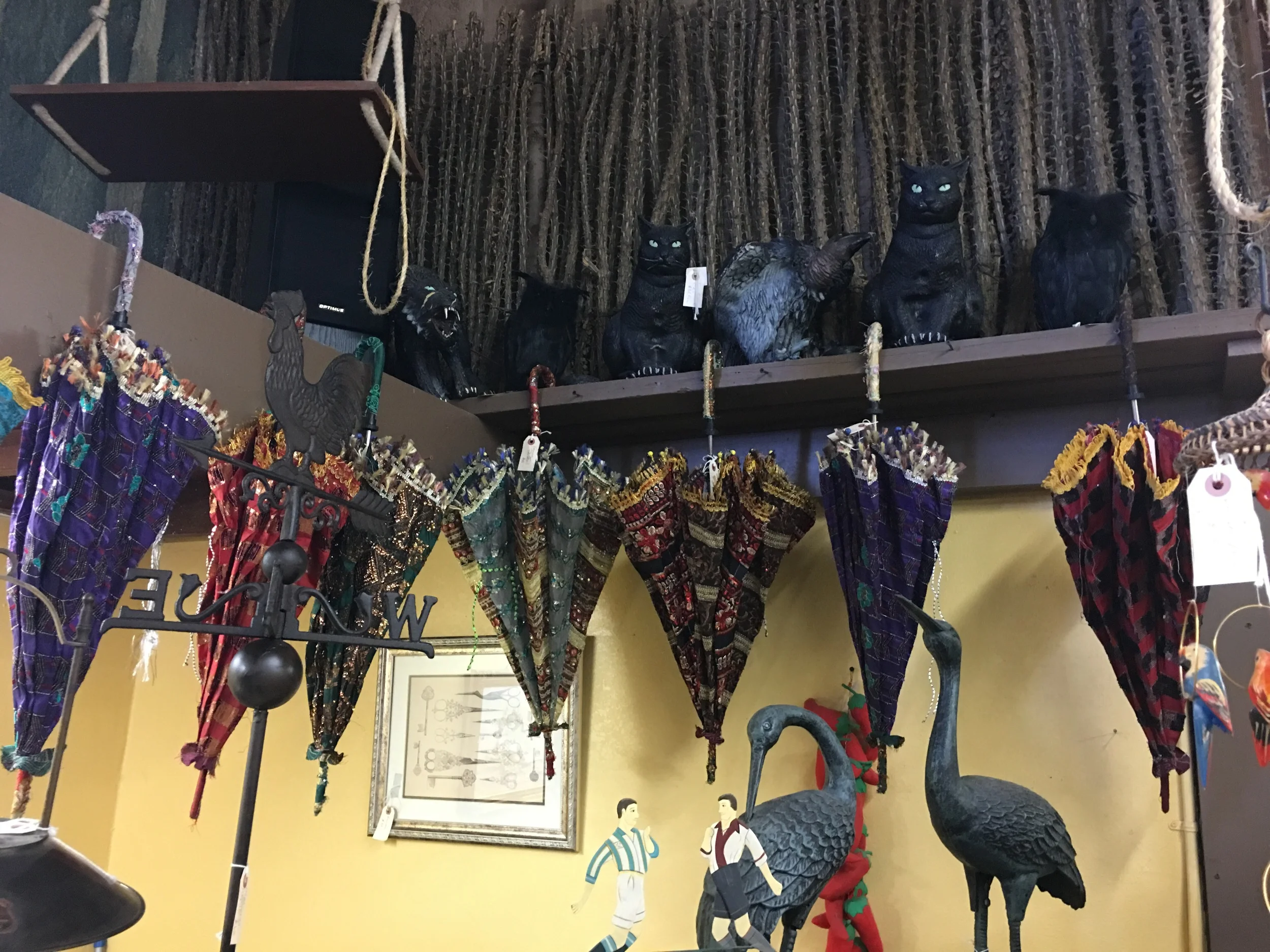 Umbrellas
