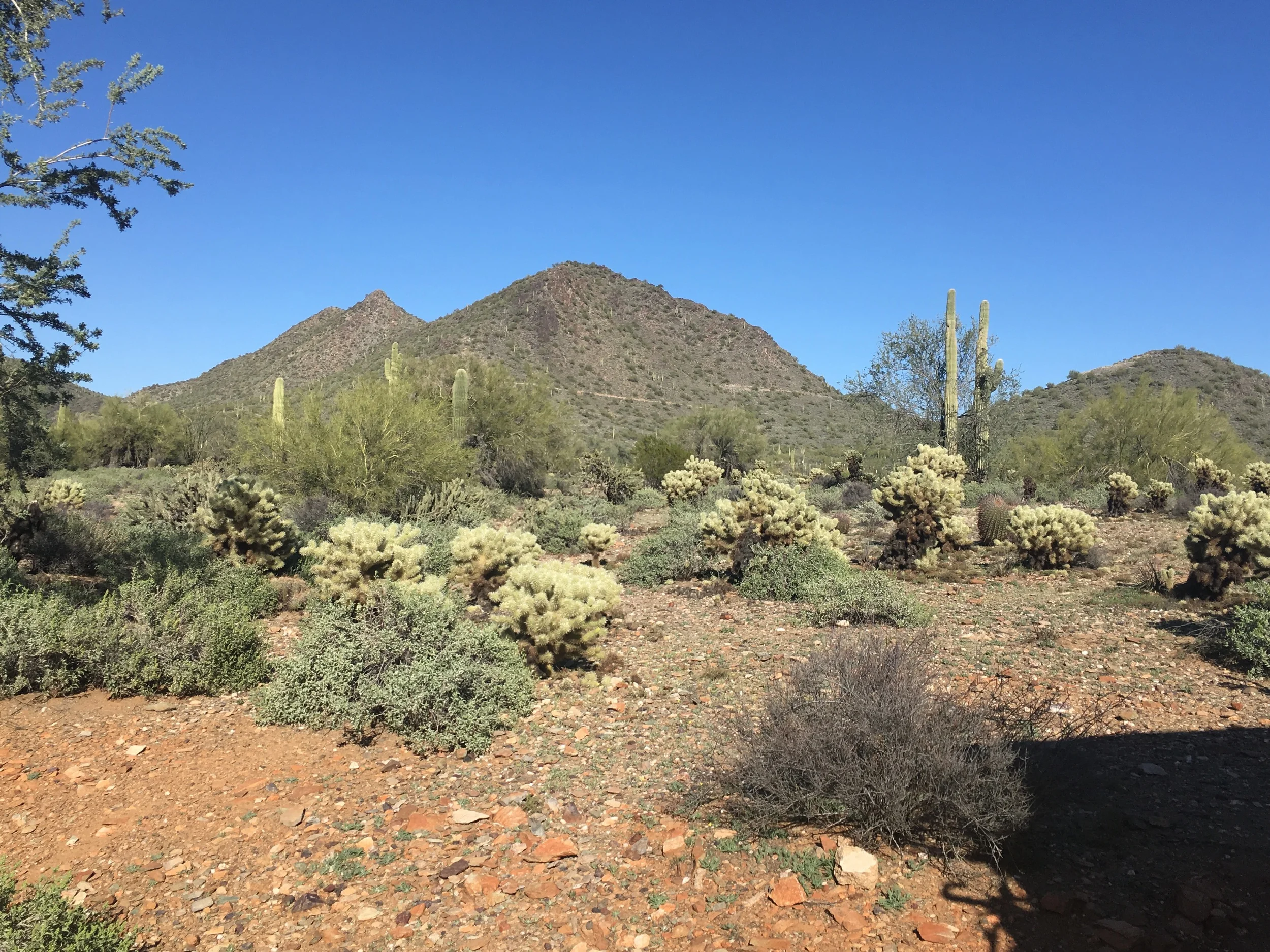 This is our backyard for the next week!