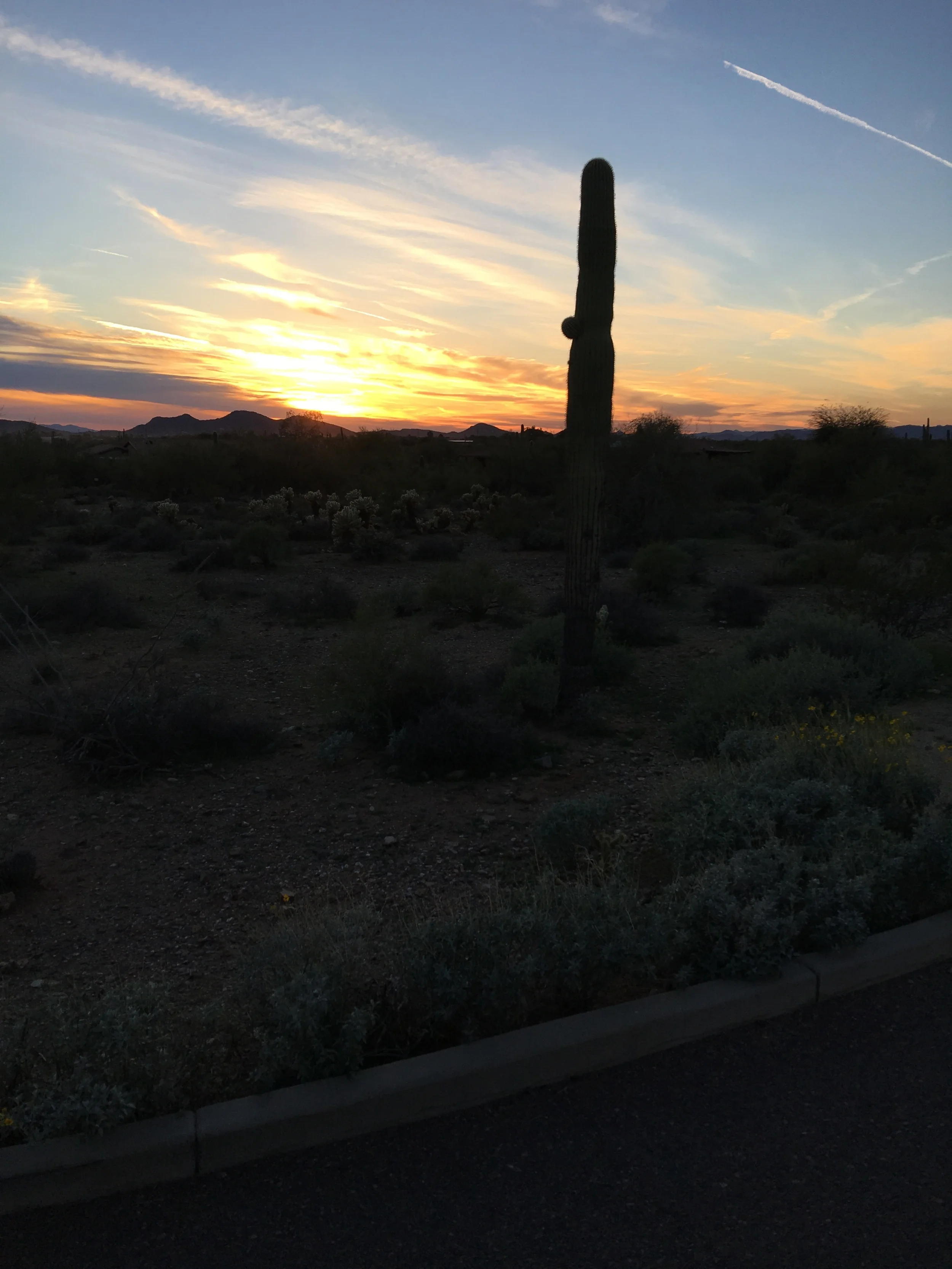 Beautiful sunset tonight.