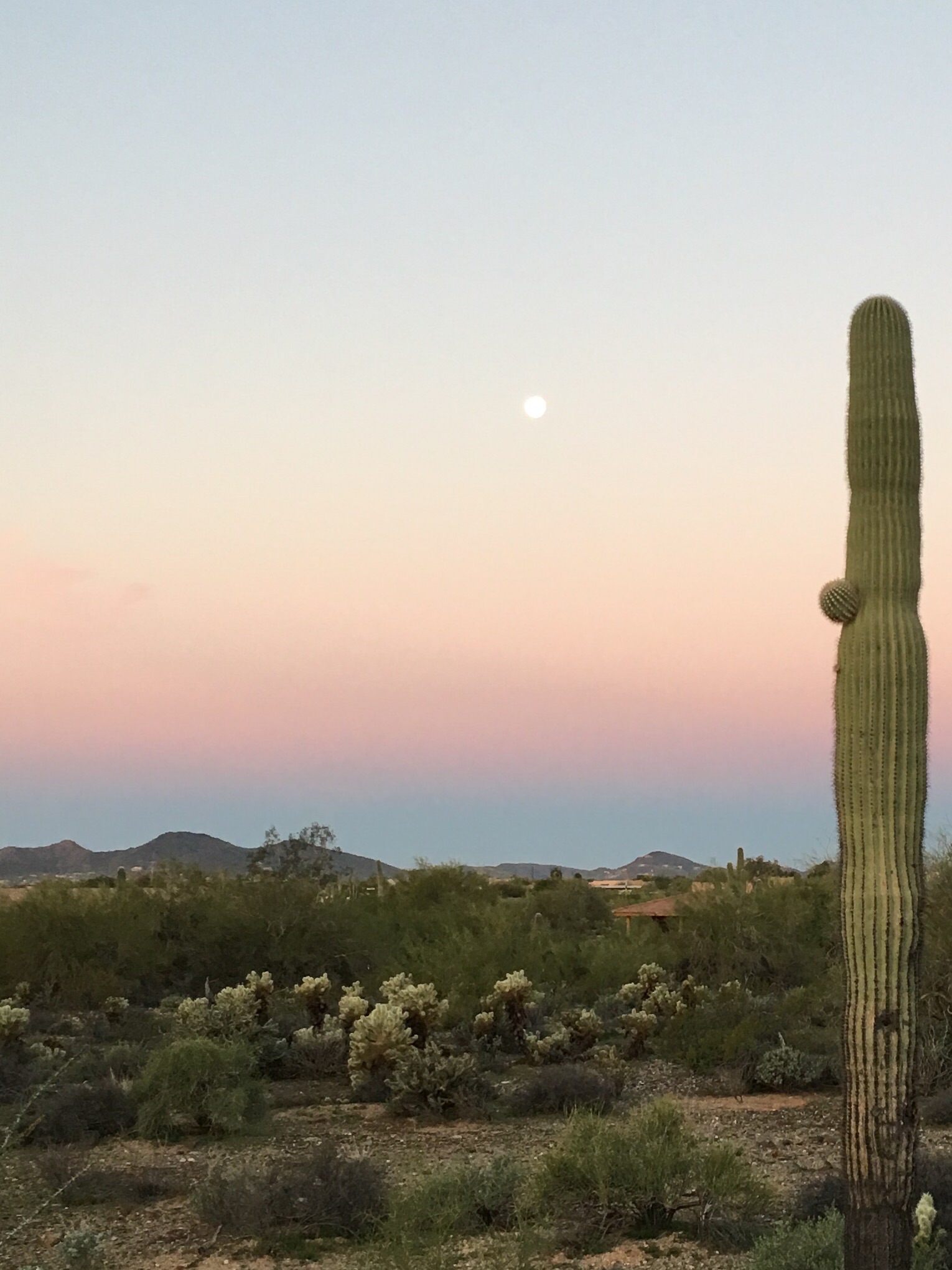 The moon at sunrise