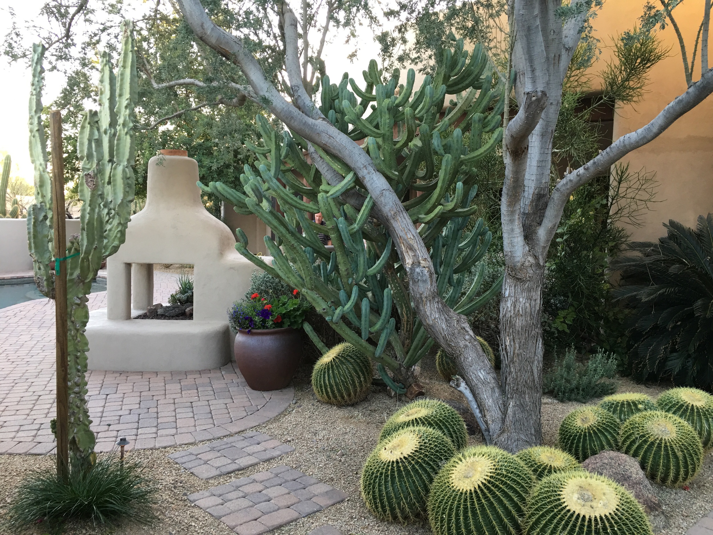 Their southwest home is absolutely beautiful!