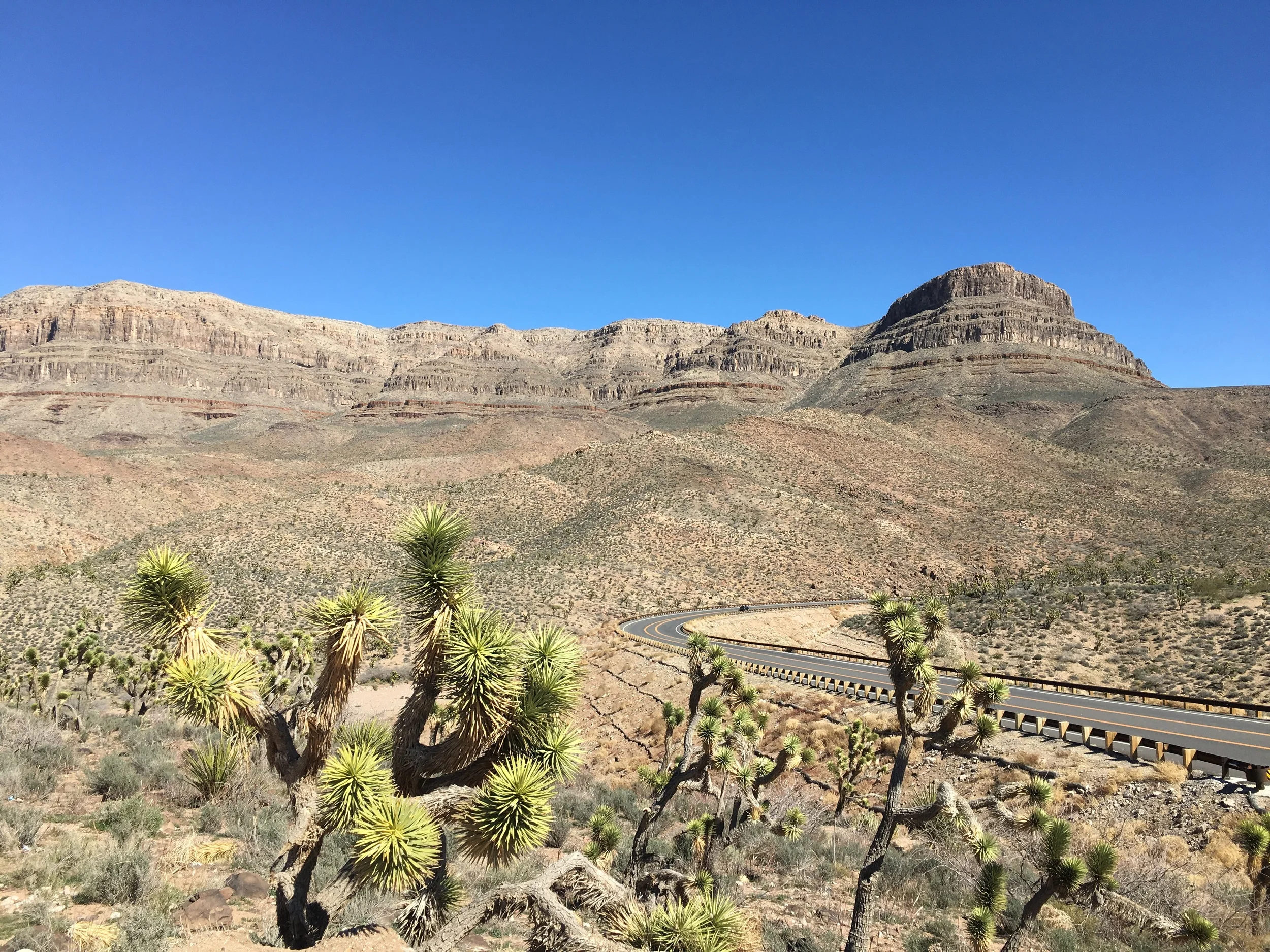 It was an unexpected beautiful scenic drive