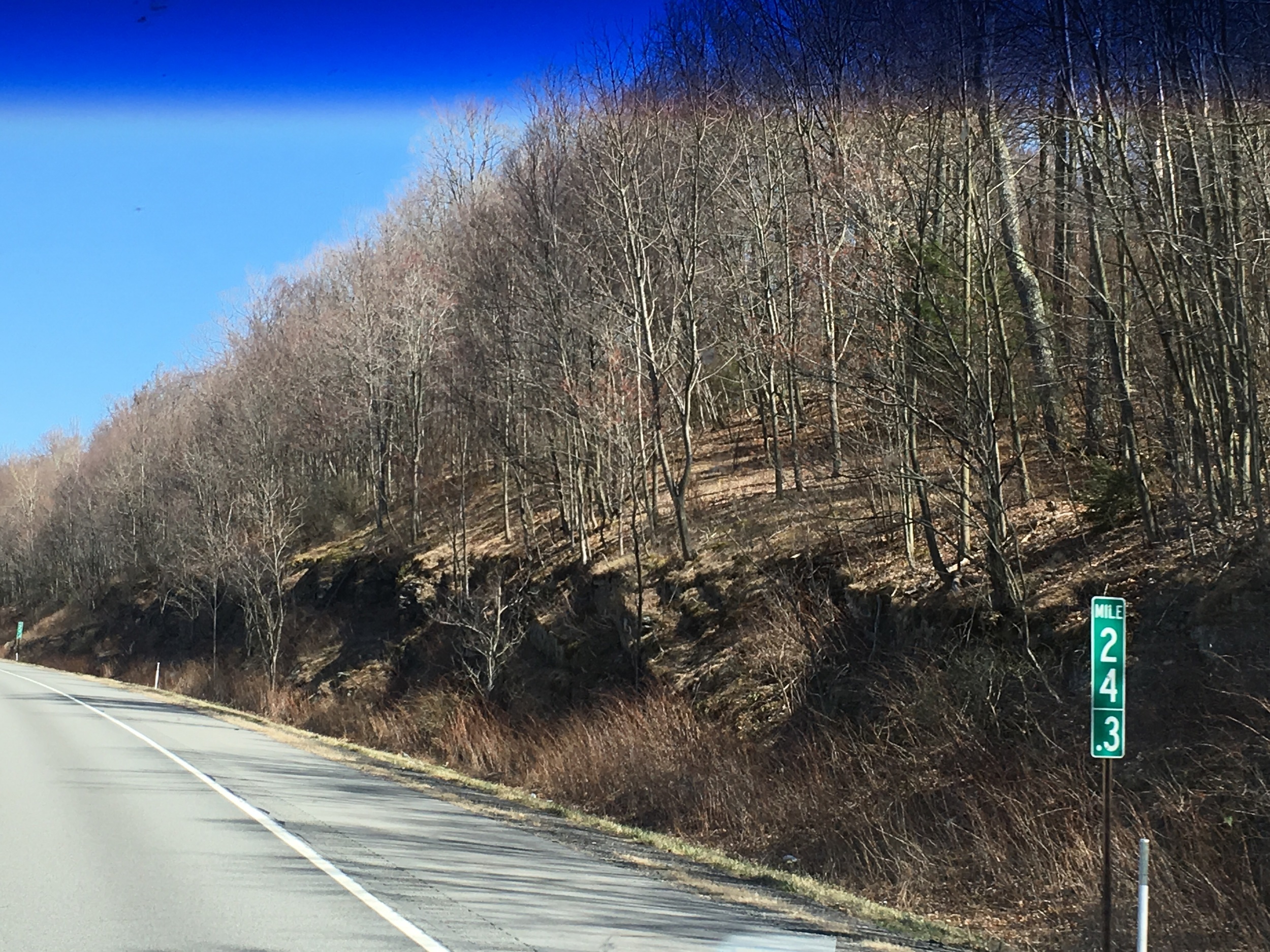 No more spring; back to winter. I miss the colors in Virginia!