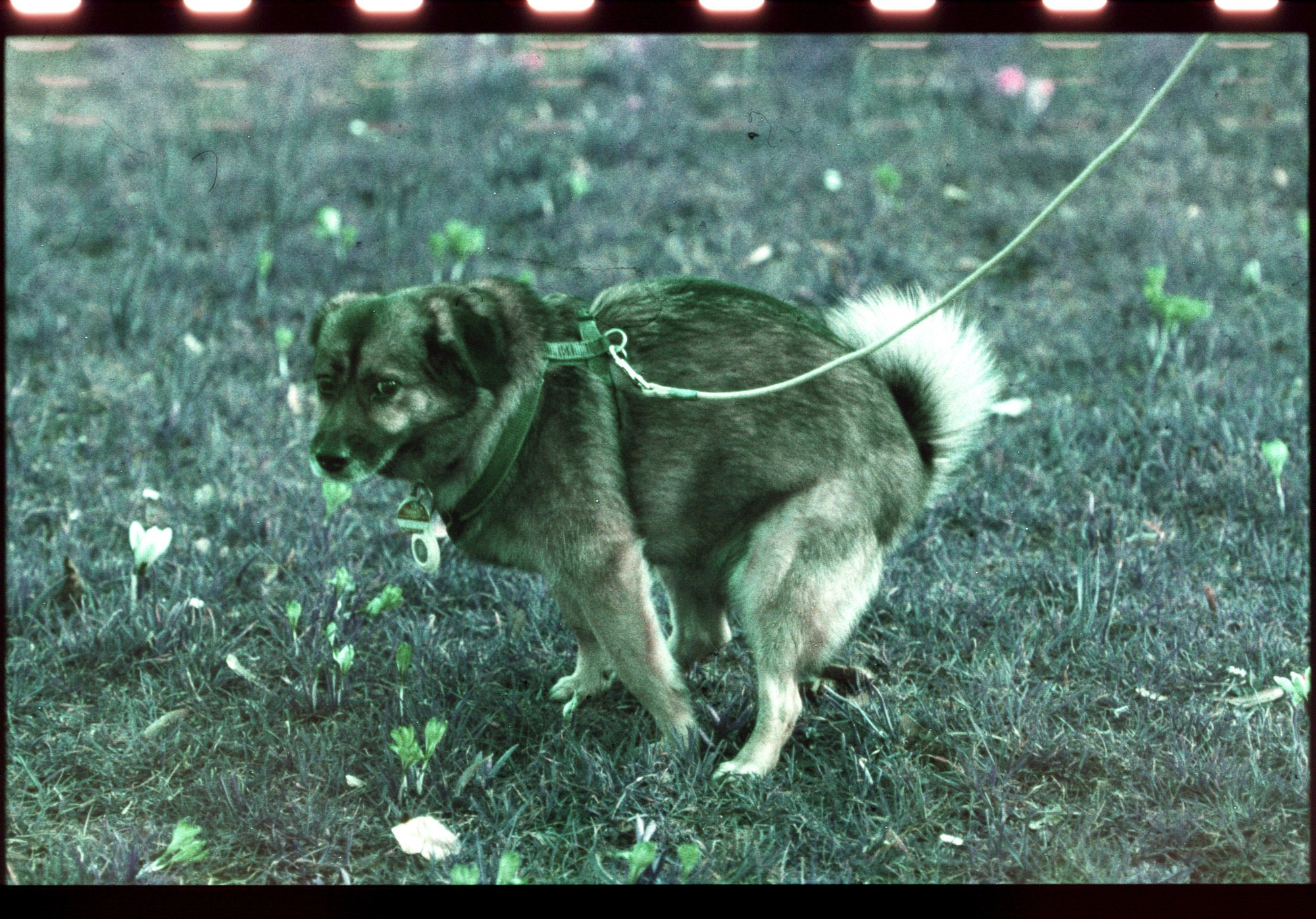 LP_E6_01_28.jpeg