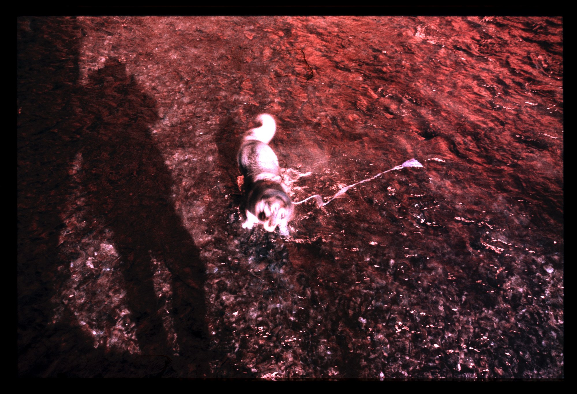 Lt_E6_01_44.jpeg