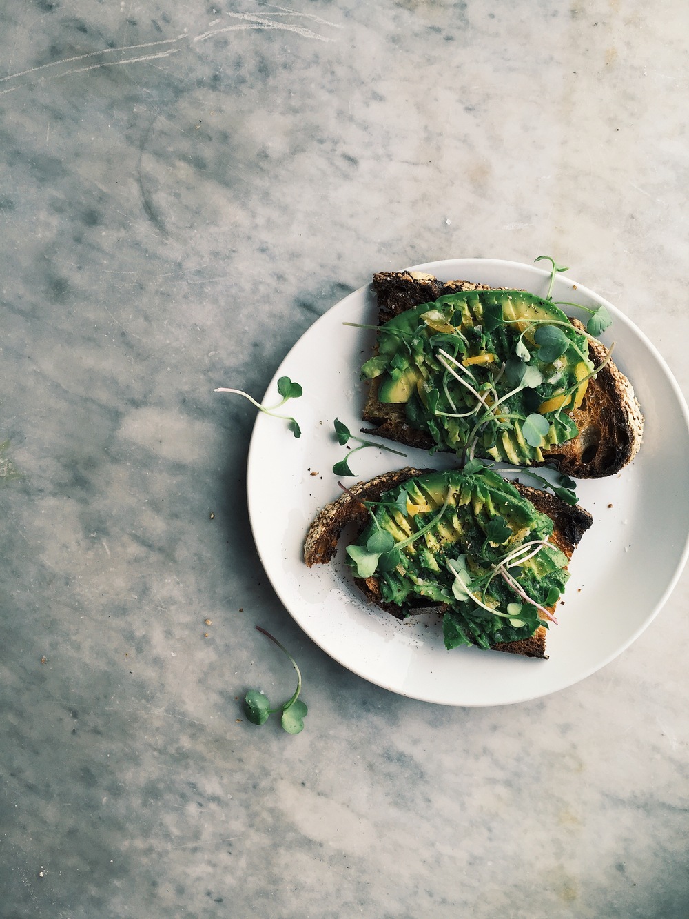Avocado Toast + Radish Sprouts