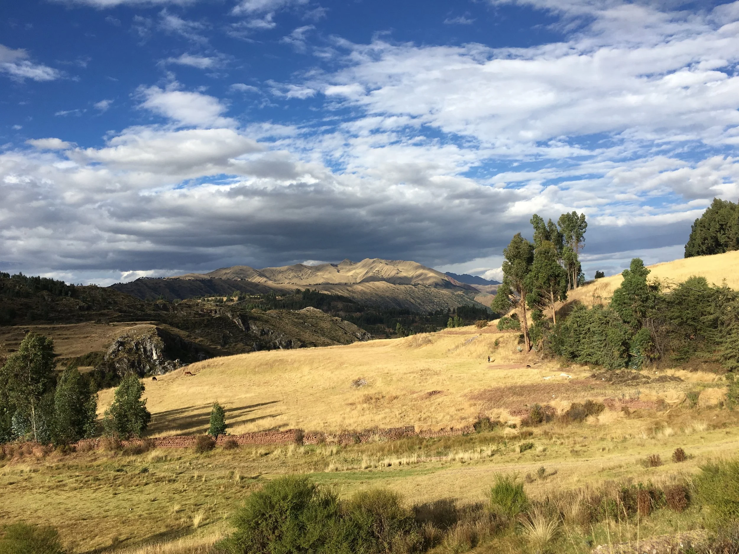 On the path to Manchu Picchu