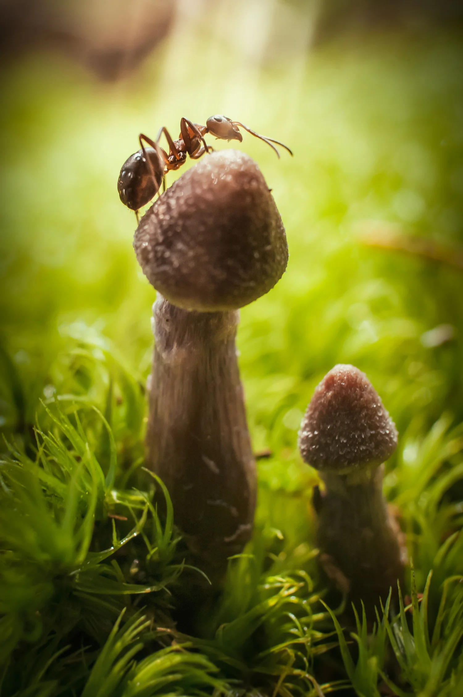 _D3C0673-2.jpg