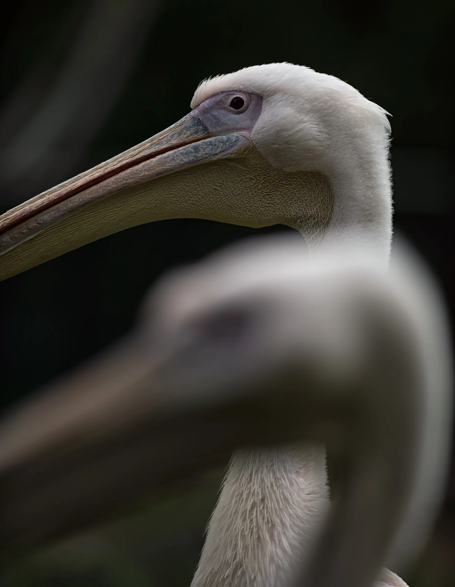 _DSC9009-Edit.jpg
