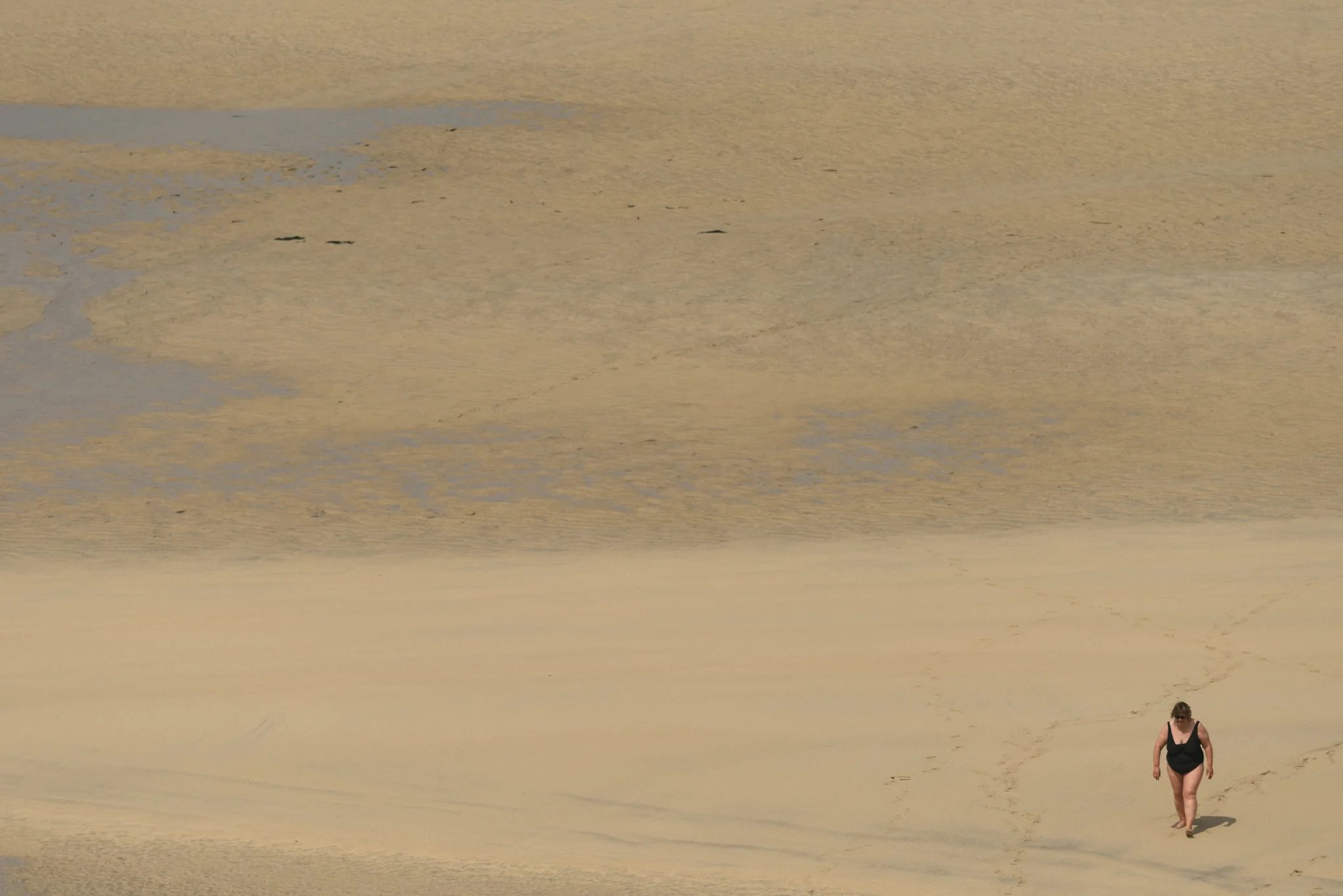 _DSC0960.jpg