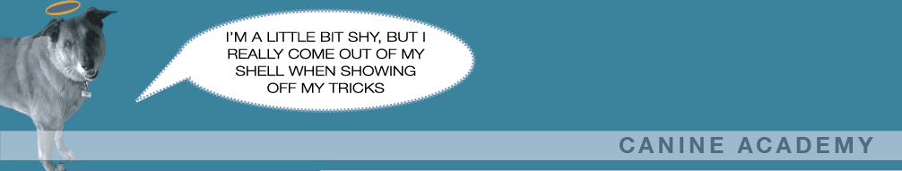 CANINEHEADER-02.png