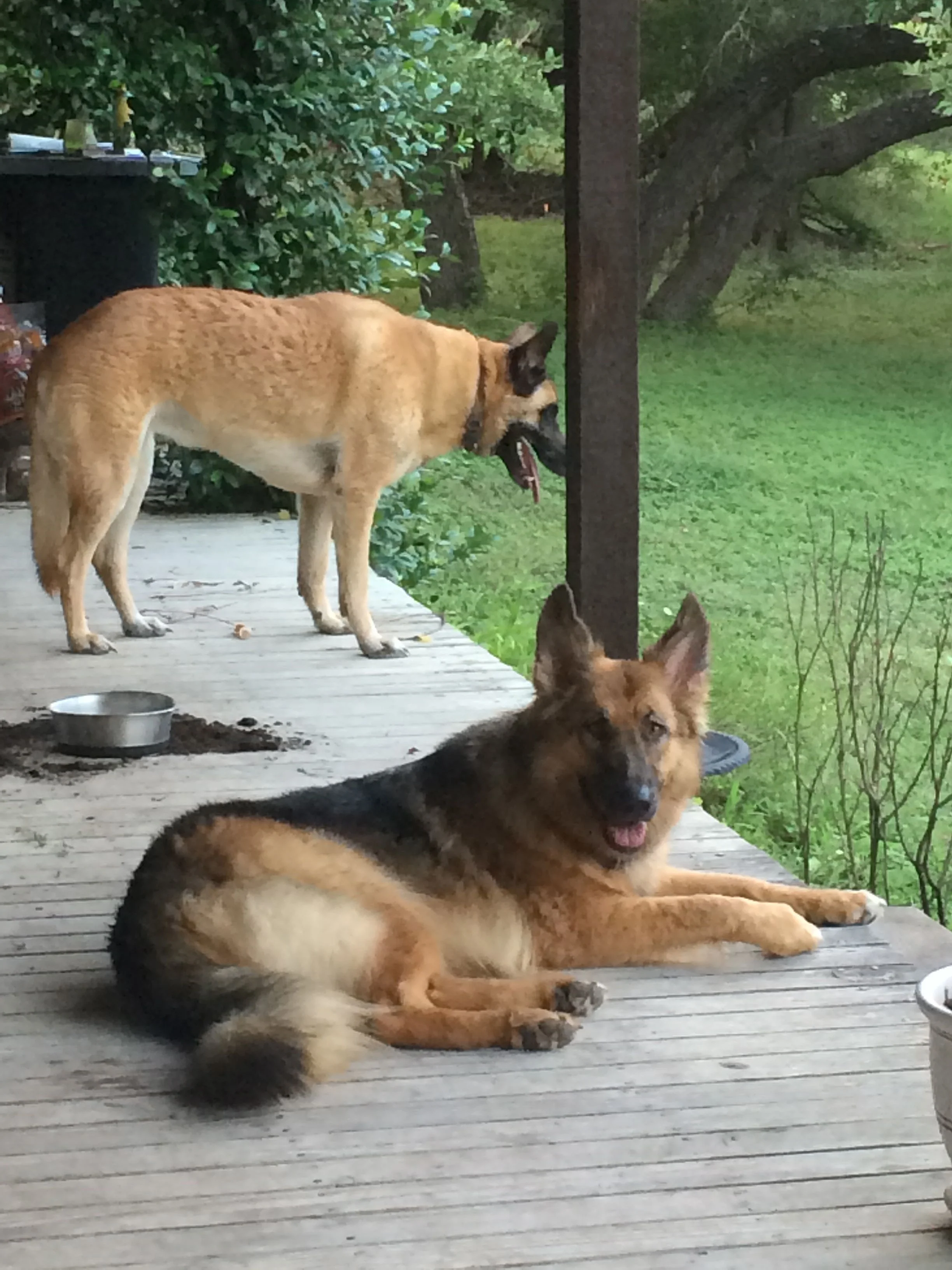 Janie (d. 2108) and Bonnie (Margaret Johnson)