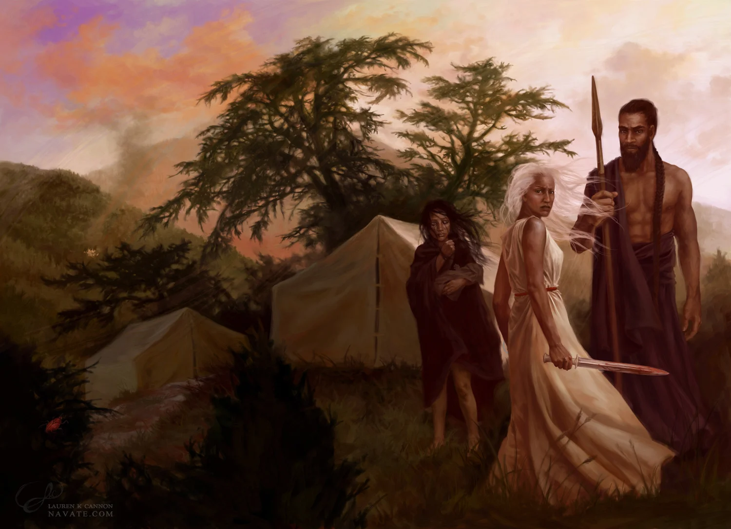 Strangers In the Land