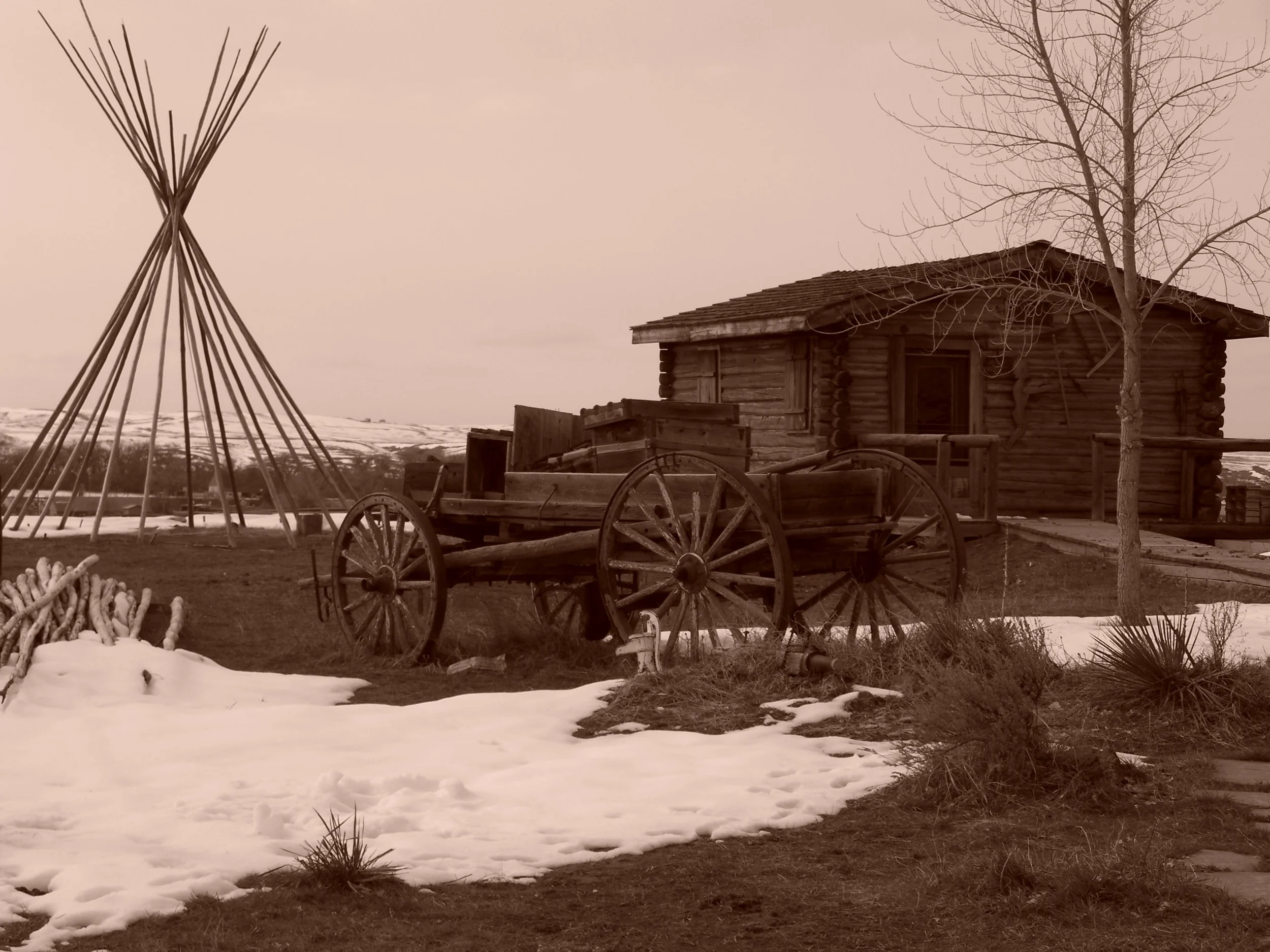 100_0214.jpg