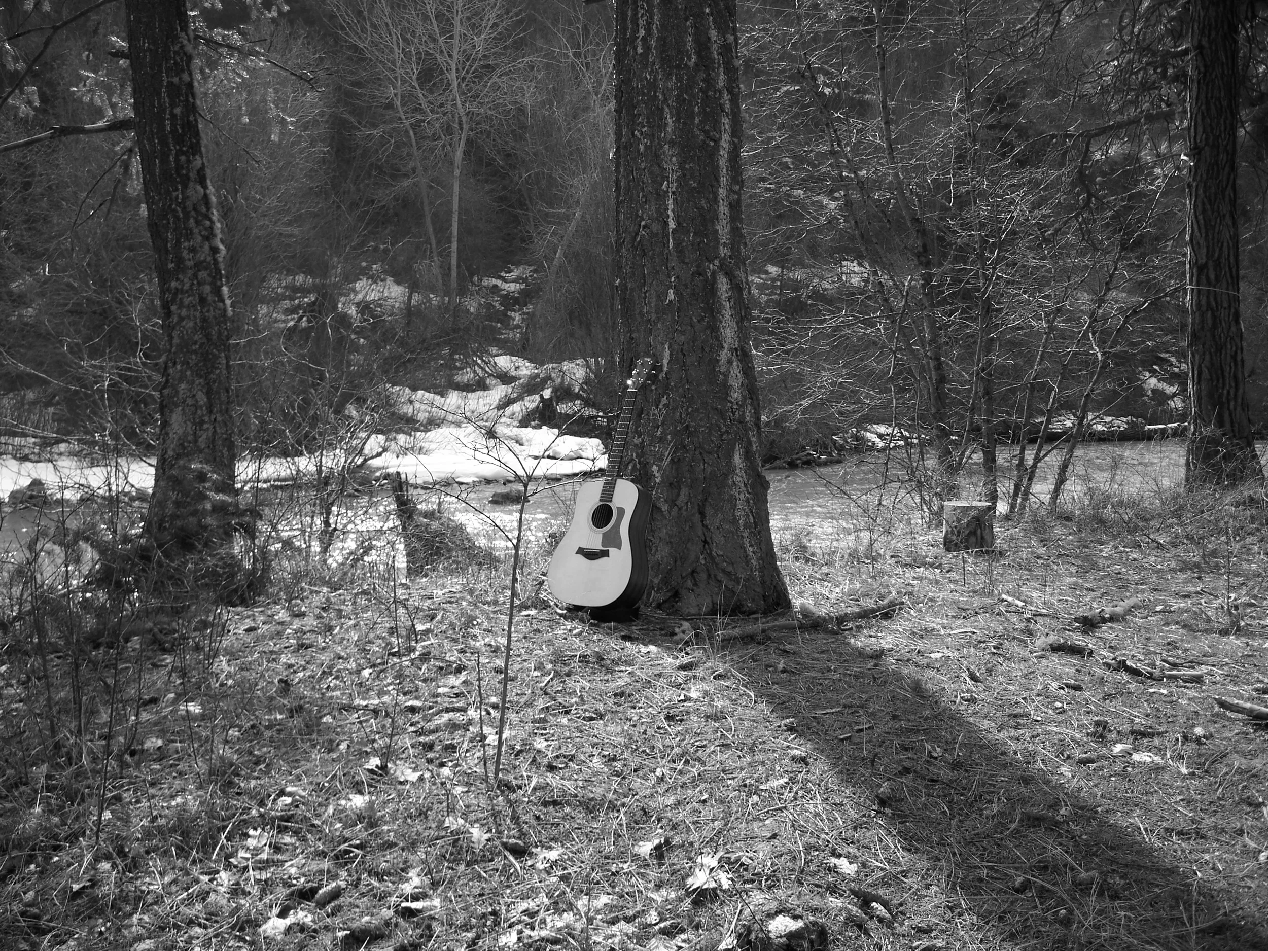 100_0112.jpg