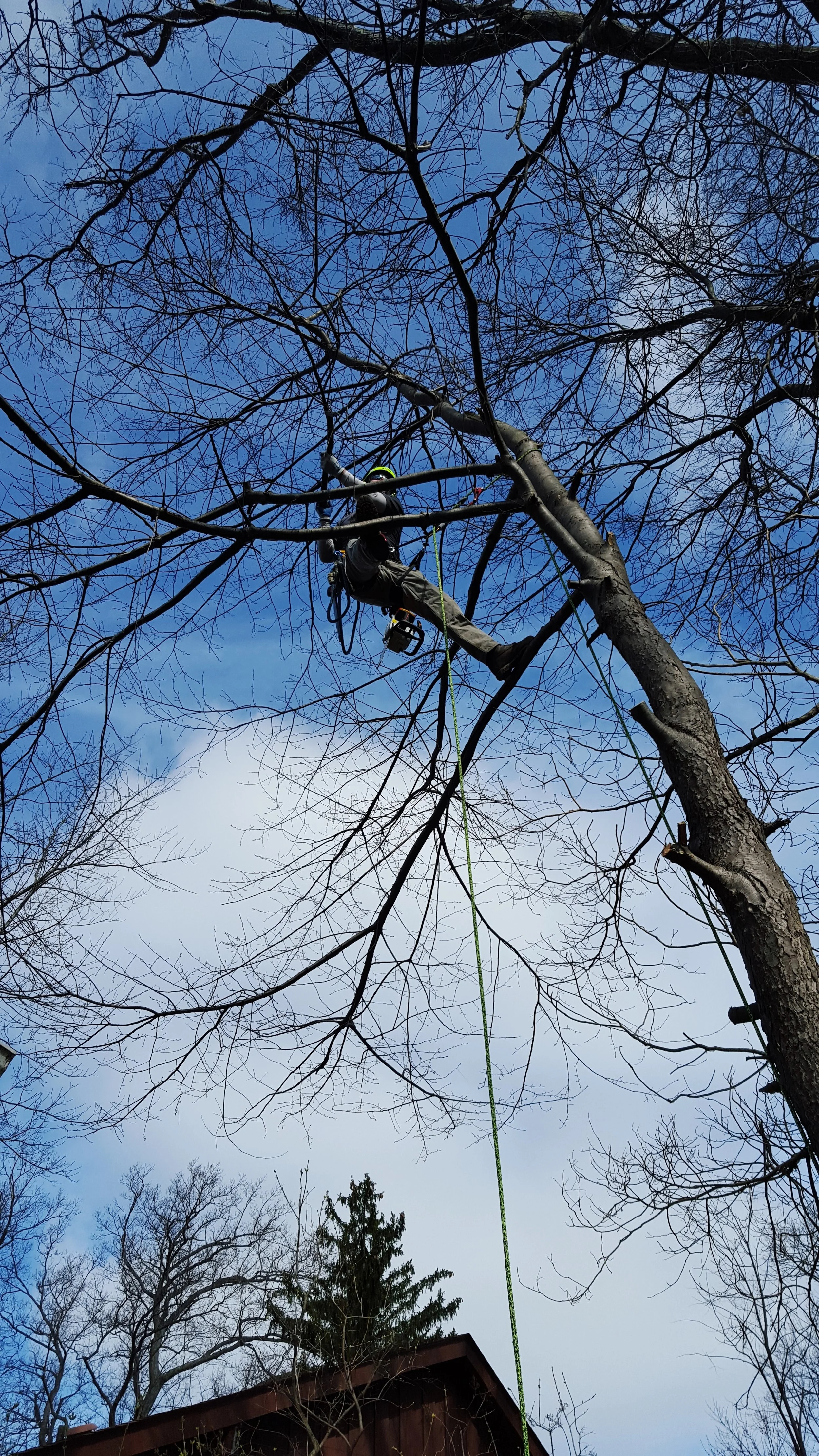 20160326_105250.jpg