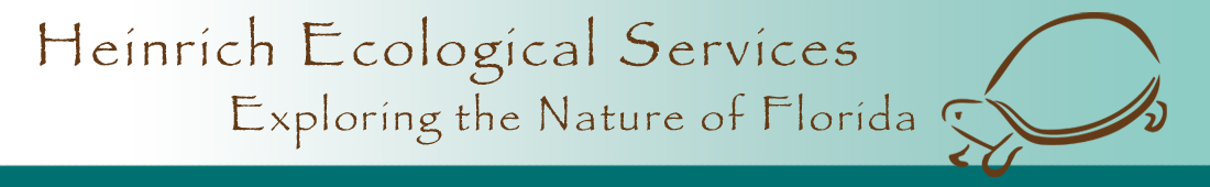 Heinrich Ecological Services