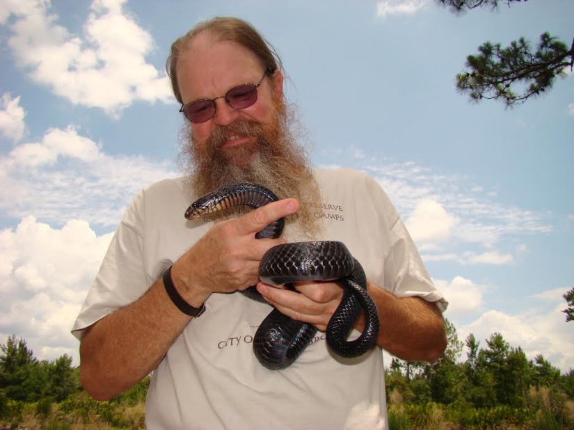 GLH holding an eastern indigo snake ( Drymarchon couperi ) at the Central Florida Zoo's Orianne Center for Indigo Conservation (photograph by Timothy J. Walsh)