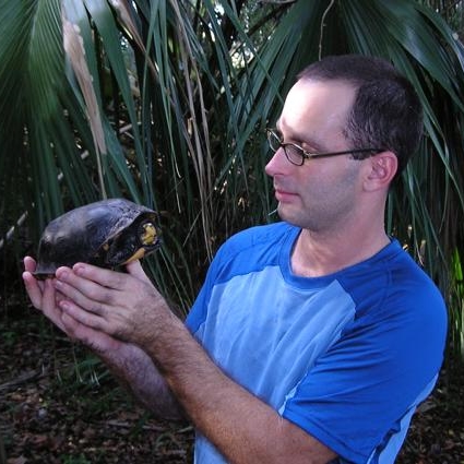 Timothy J. Walsh examining a Gulf Coast box turtle ( Terrapene carolina major ) in Apalachicola, Florida (photograph by GLH)