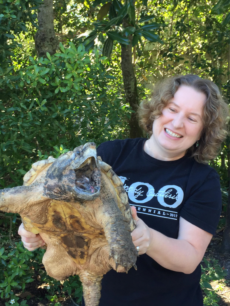 Student holding an alligator snapping turtle (photograph by Sid Davis)