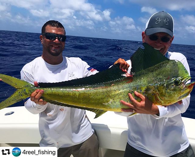 Mahi madness is upon us every year around Memorial Day. Some nice quality slammers getting cold steel right now book the captains at Worldwide Sportsman @bayside_marina 📷 @4reel_fishing #islamorada #floridakeys #fishing #mahi #florida #travel #vacation #hunting #disneyworld