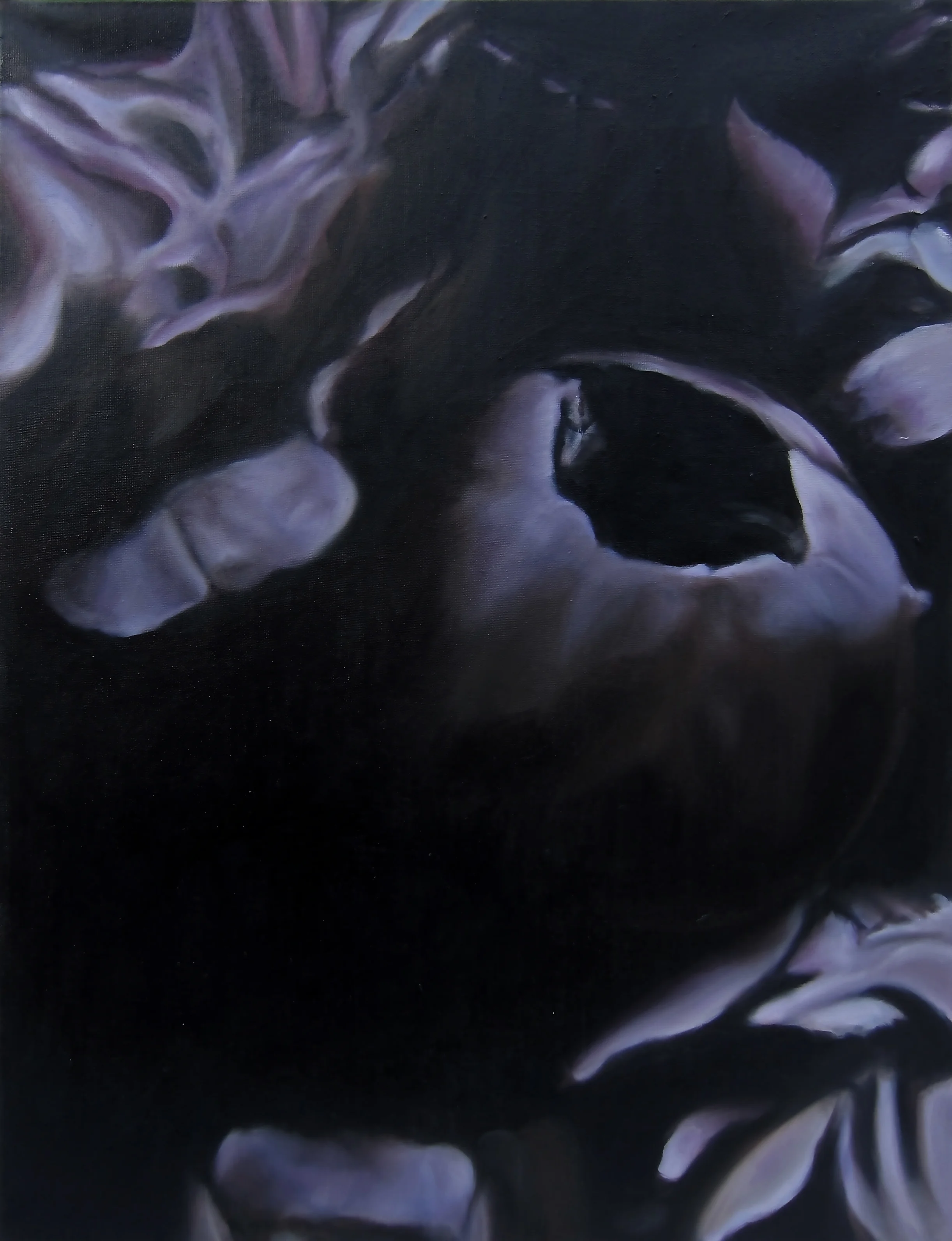 Language des fleurs et des choses muettes No.3, 2016 oil on linen, 36 x 36 in, 91 x 91 cm