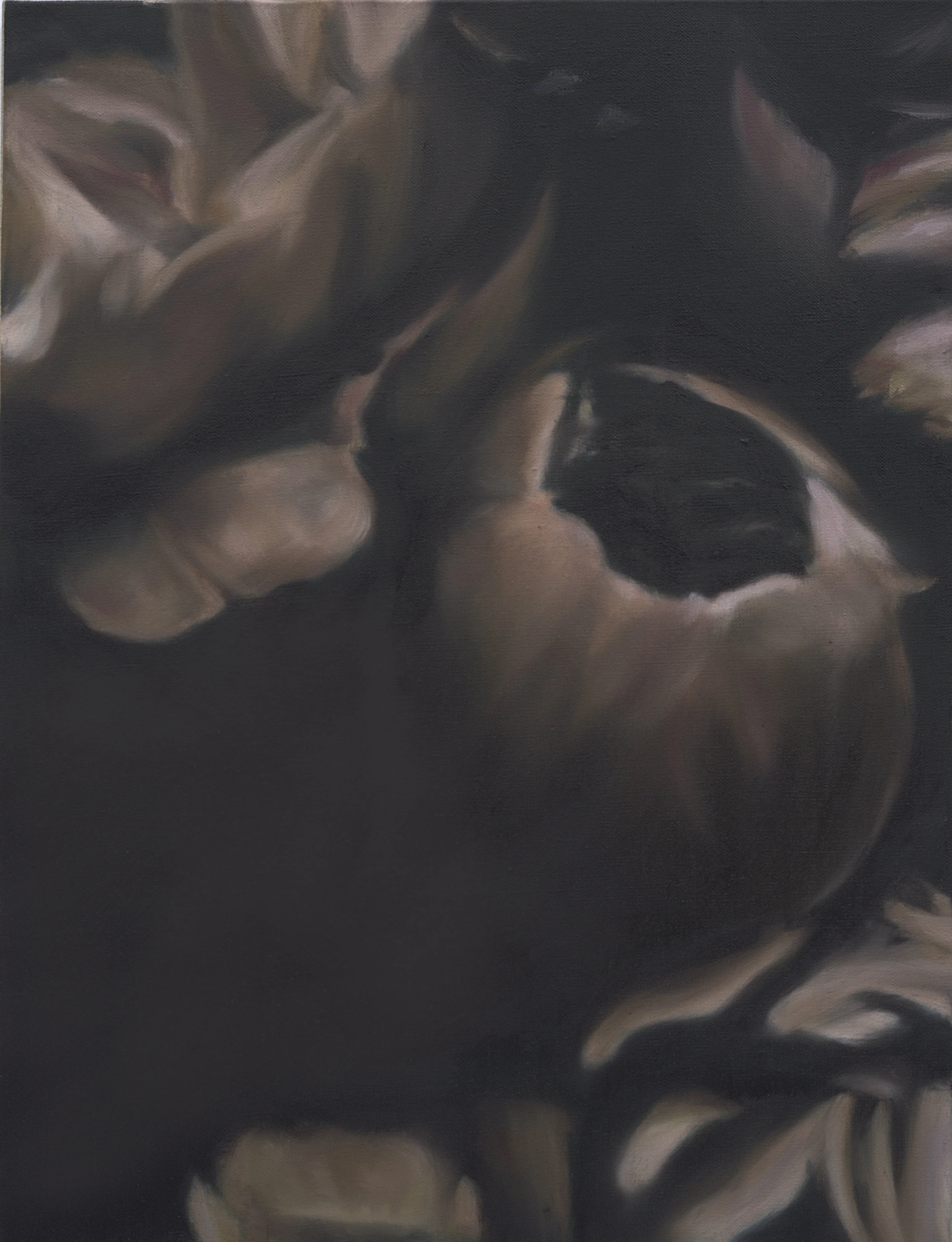 Language des fleurs et des choses muettes No.4, 2016 oil on linen, 36 x 36 in, 91 x 91 cm