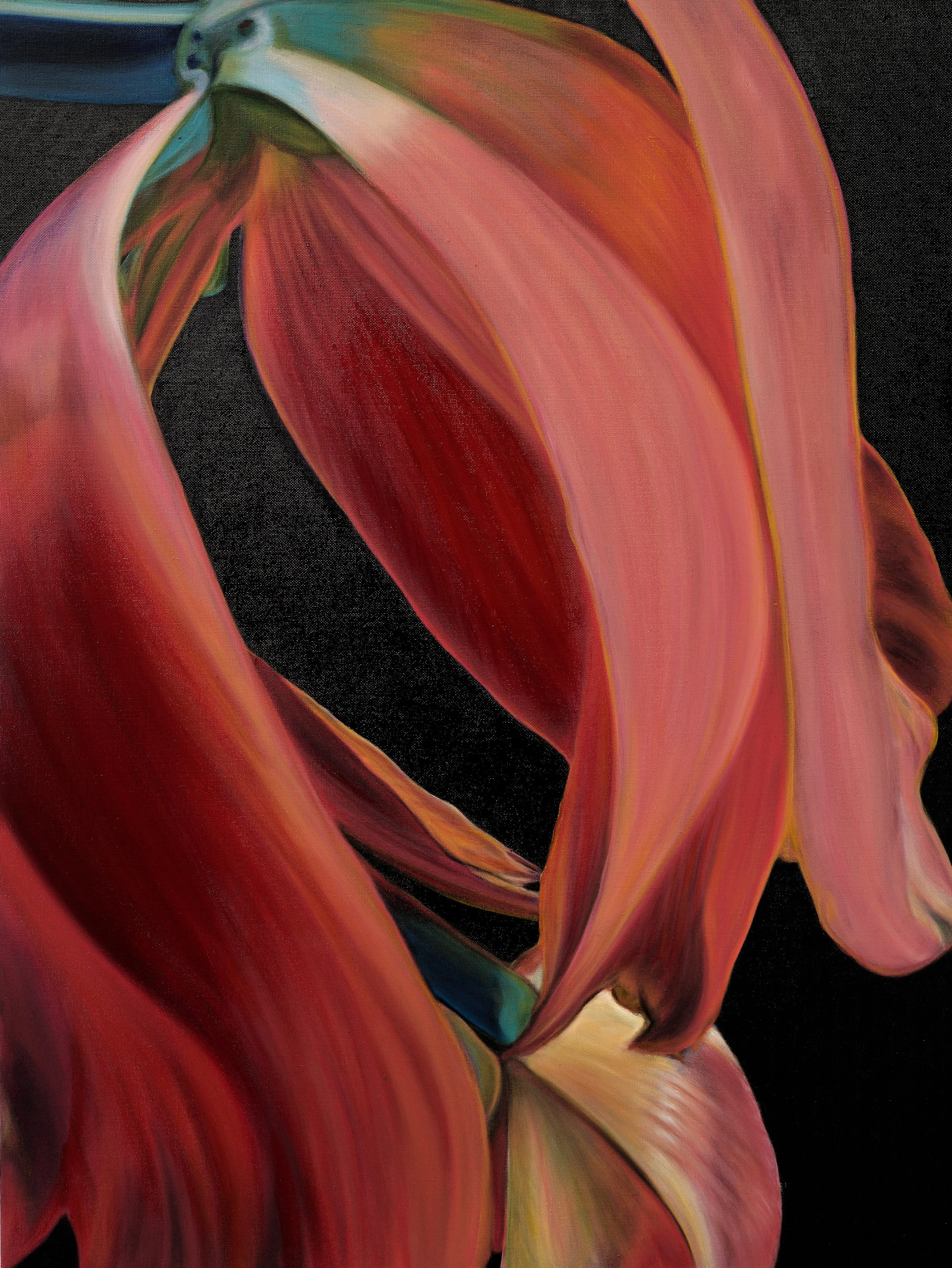  Hana-Bi 10, 2023  oil on linen, 80 x 60 x 6 cm, 31.1/2 x 23.3/4 x 2.1/4 in.   details  