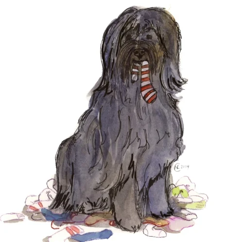 BobbyDogFINAL.JPG