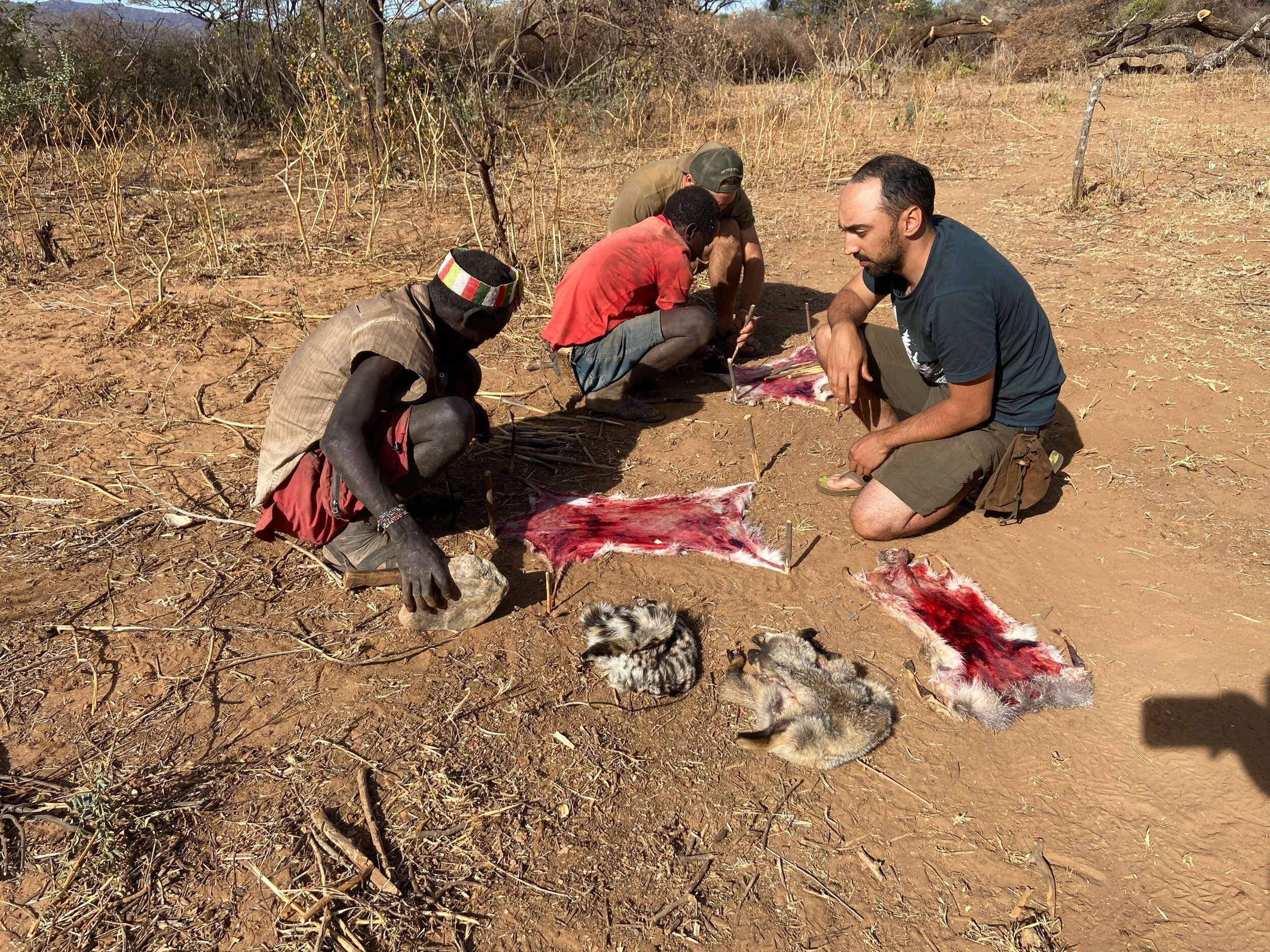 D5C3C0AC-22D0-4ABA-80A7-7E4F17E2FC18