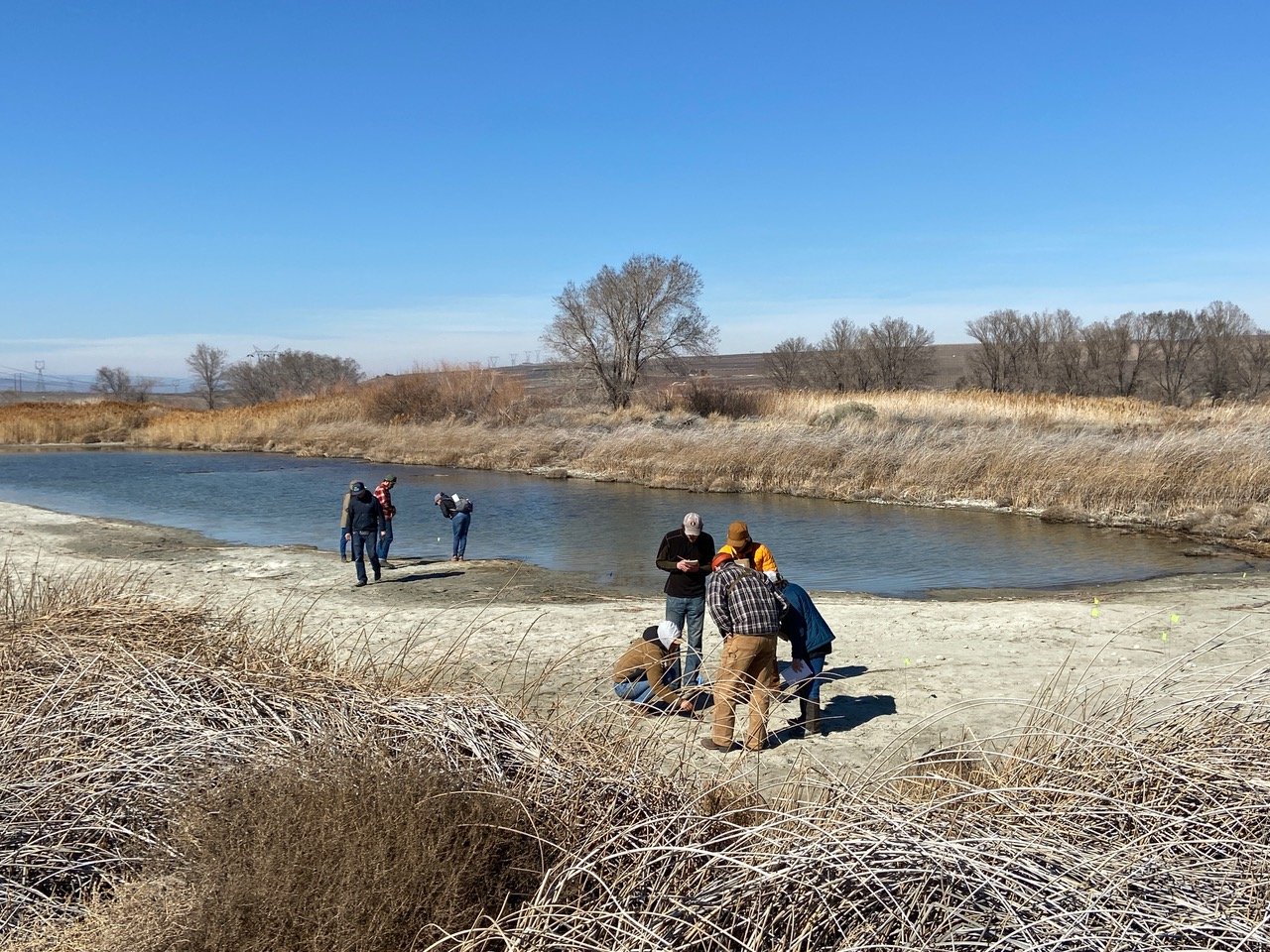 tracking photo 1.jpeg