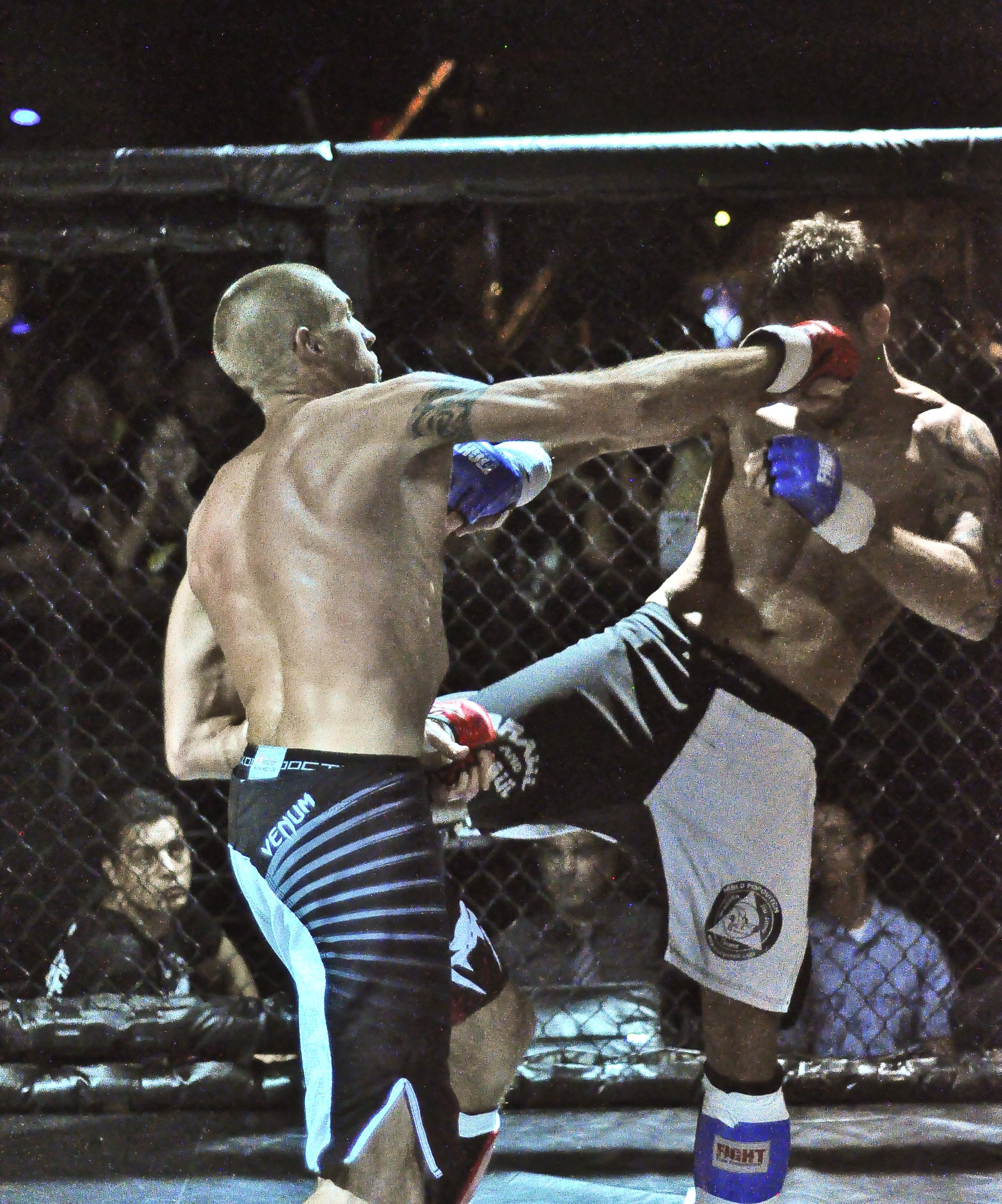 Joel van der loon MMA cage fighting