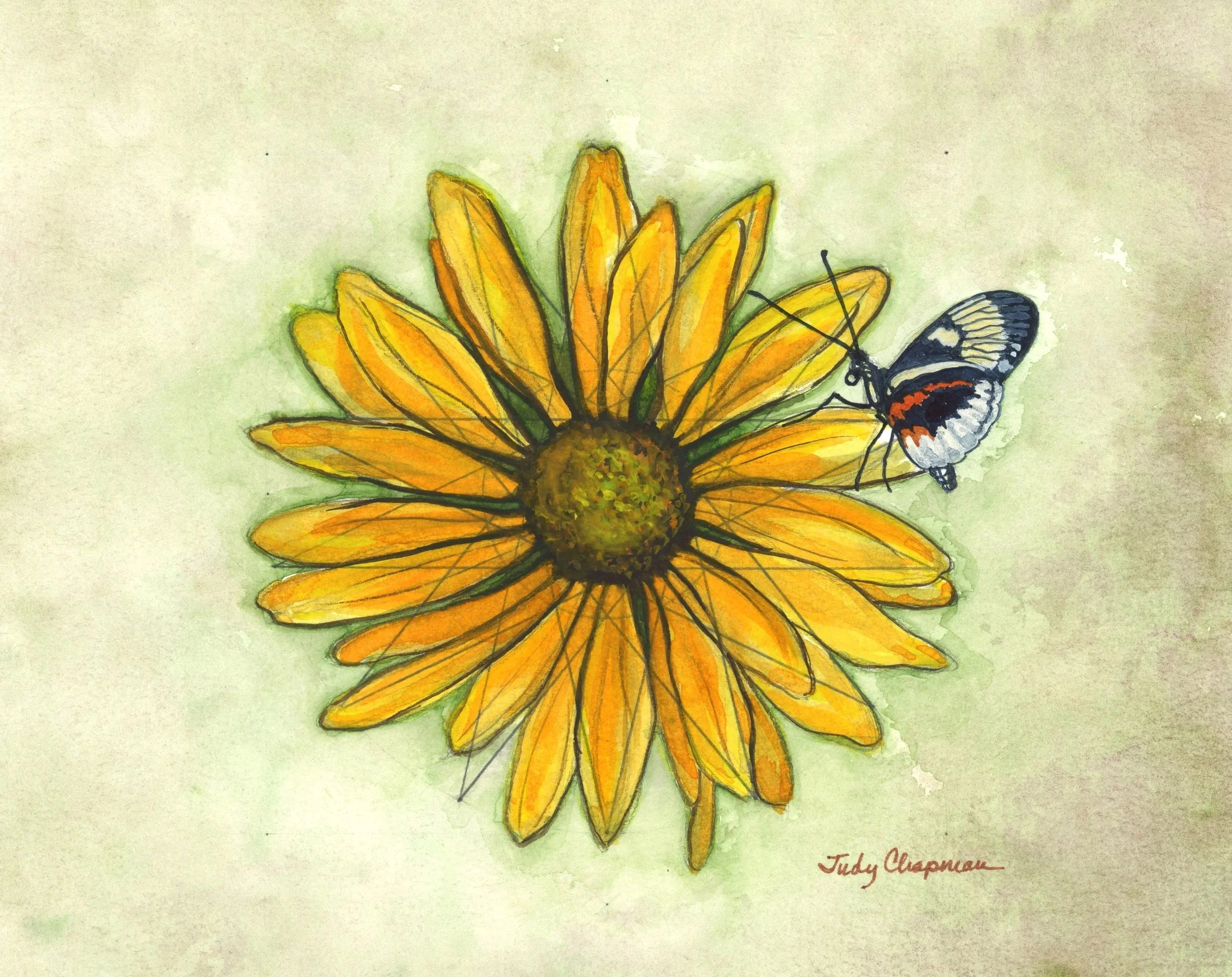 Daisy in Seven Point Geometry