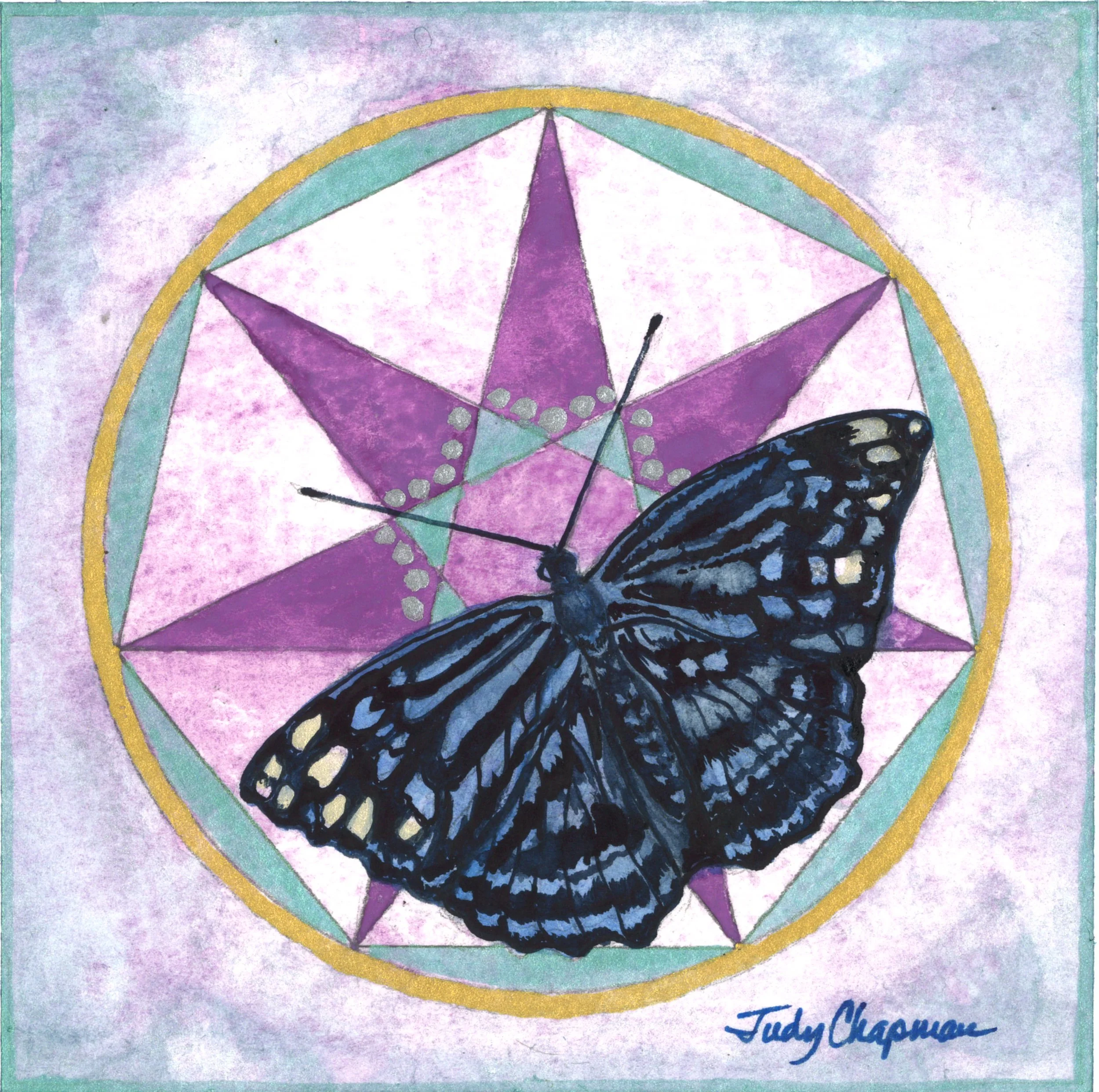 Seven Sent Butterfly Blues.jpg