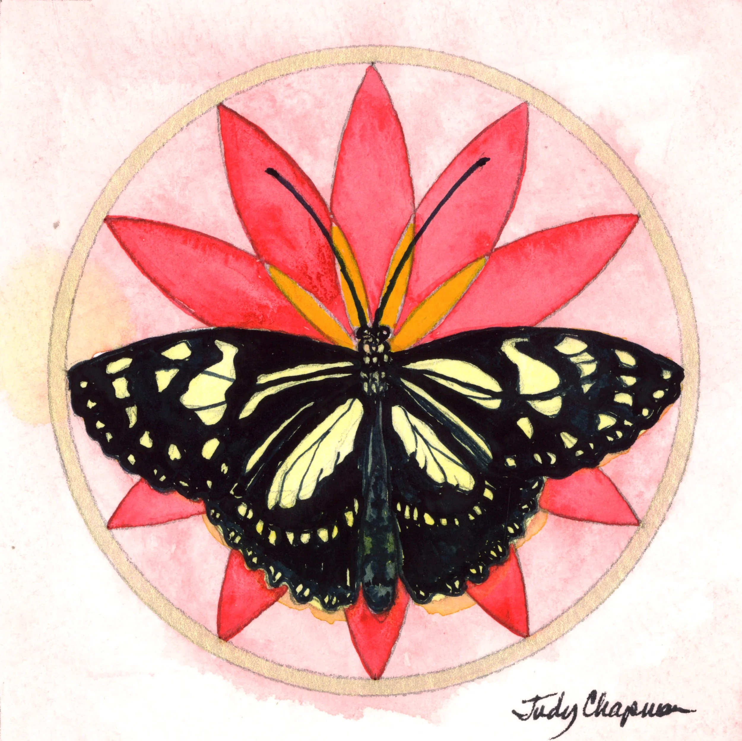 Butterfly Kisses on Seed of Life.jpg