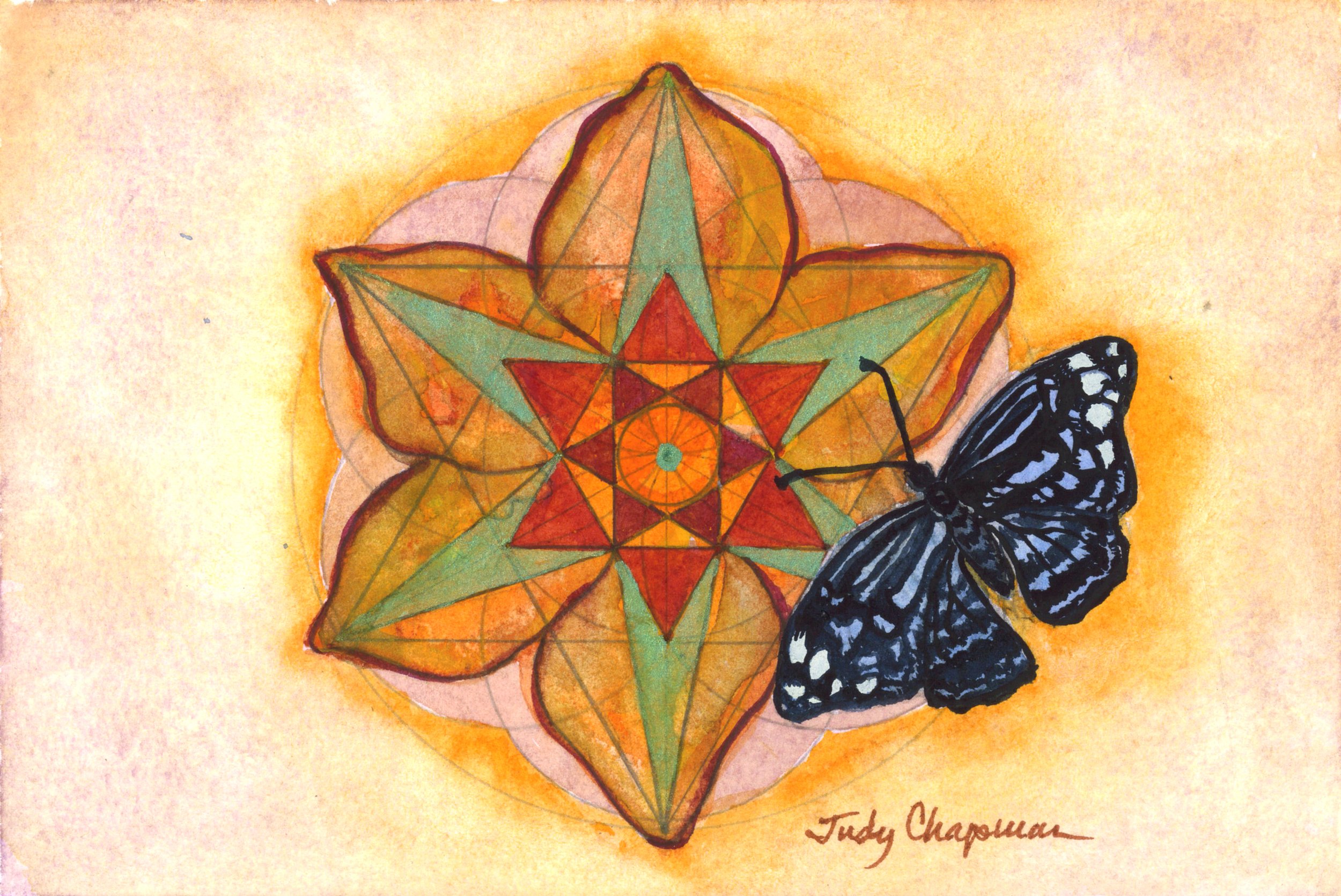 Butterfly Riding Six Point Geometry.jpg