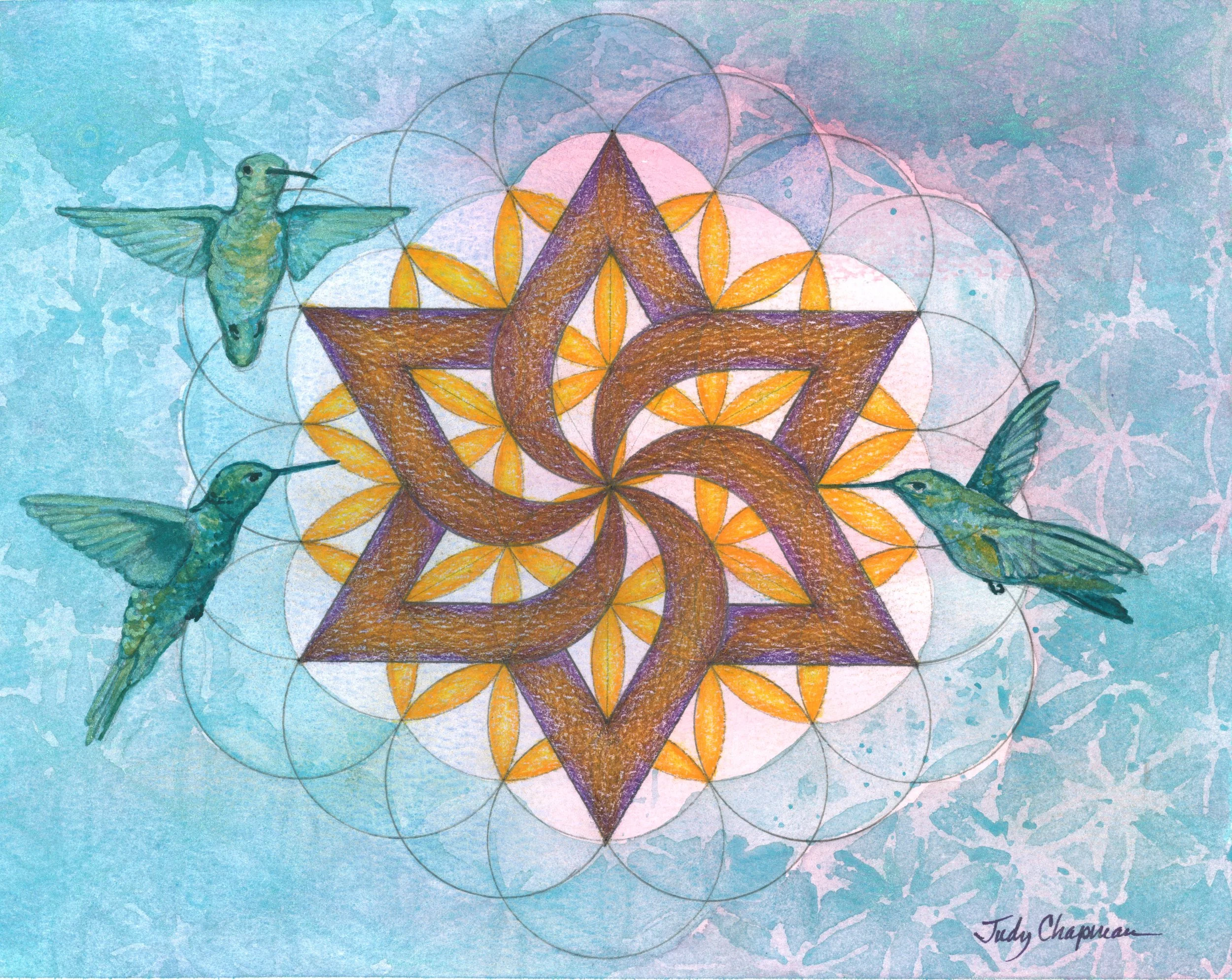 Hummingbird Gathering.jpg