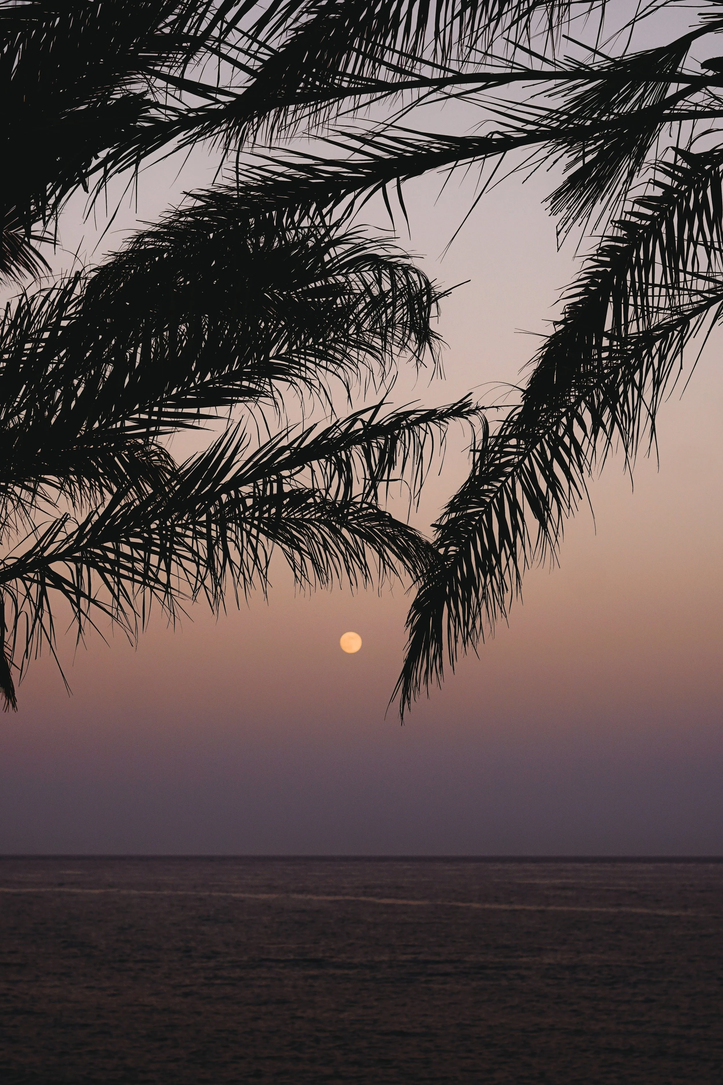beach-clouds-full-moon-1253720.jpg