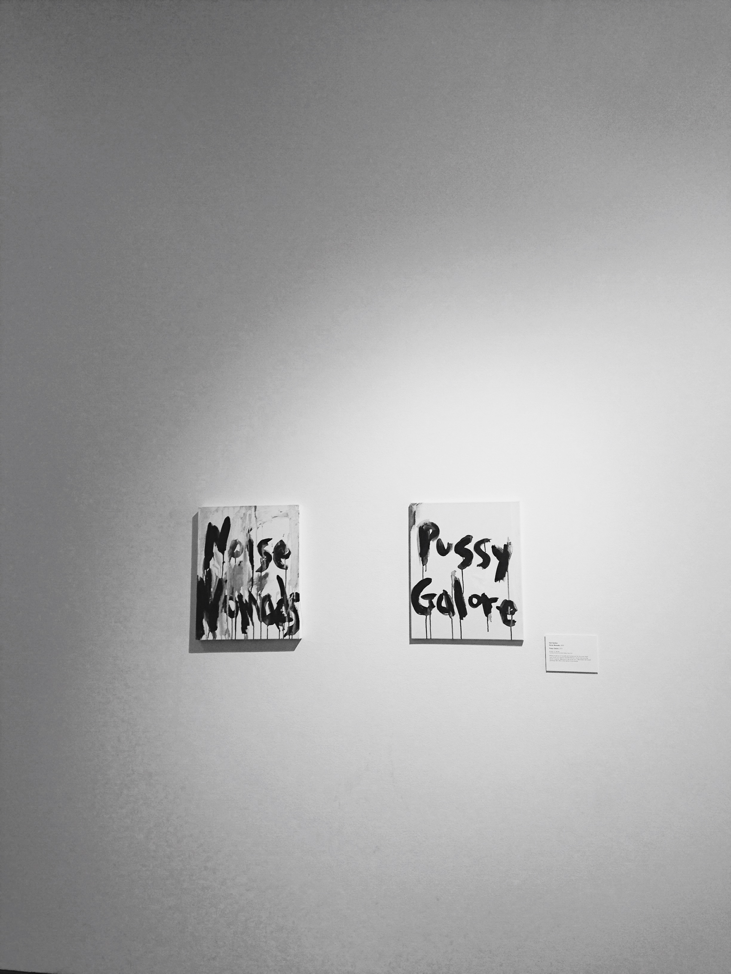 Museum of Contemporary Art Denver; piece by Kim Gordon. © E.A. Crunden