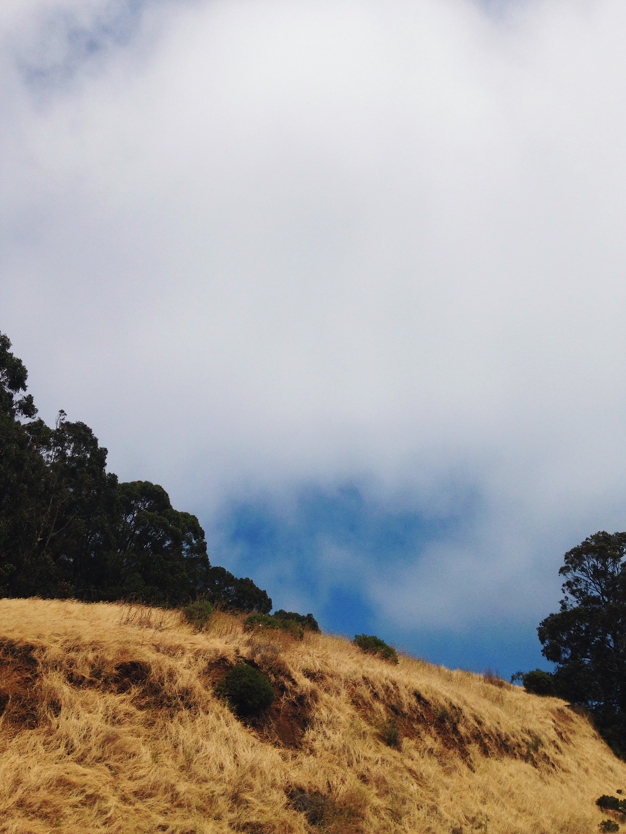 San Francisco, CA. © E.A. Crunden