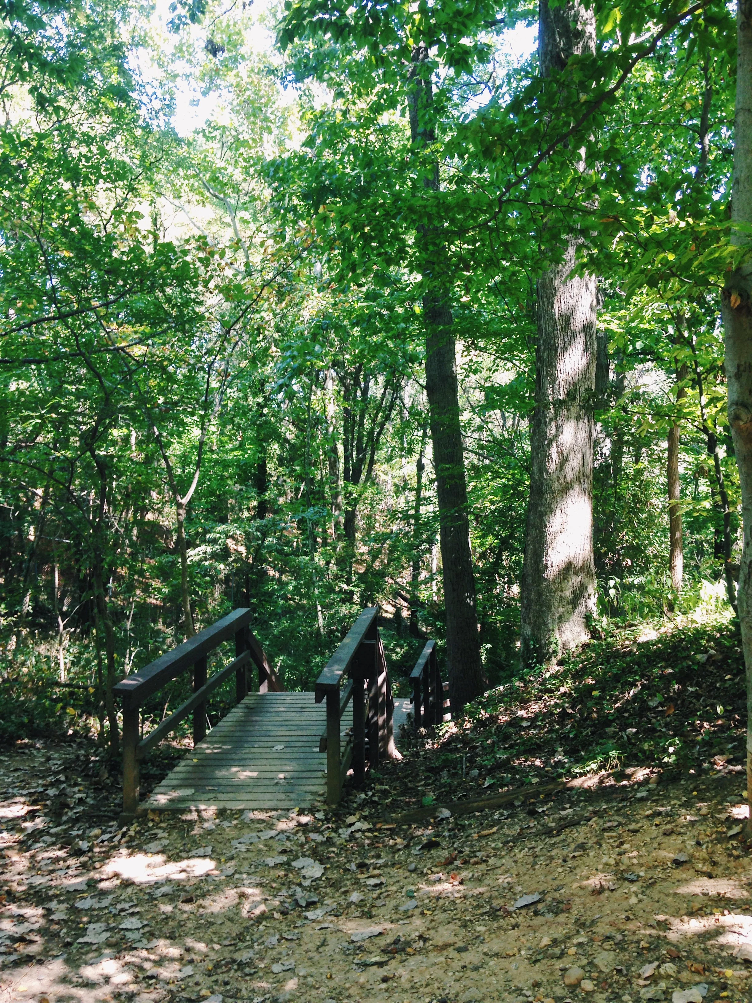 Richmond, Virginia. © E.A. Crunden