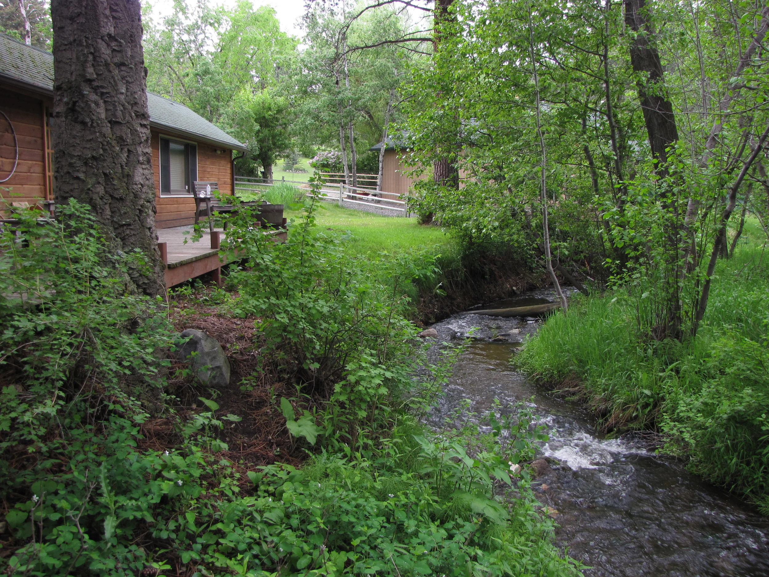 Babbling brook