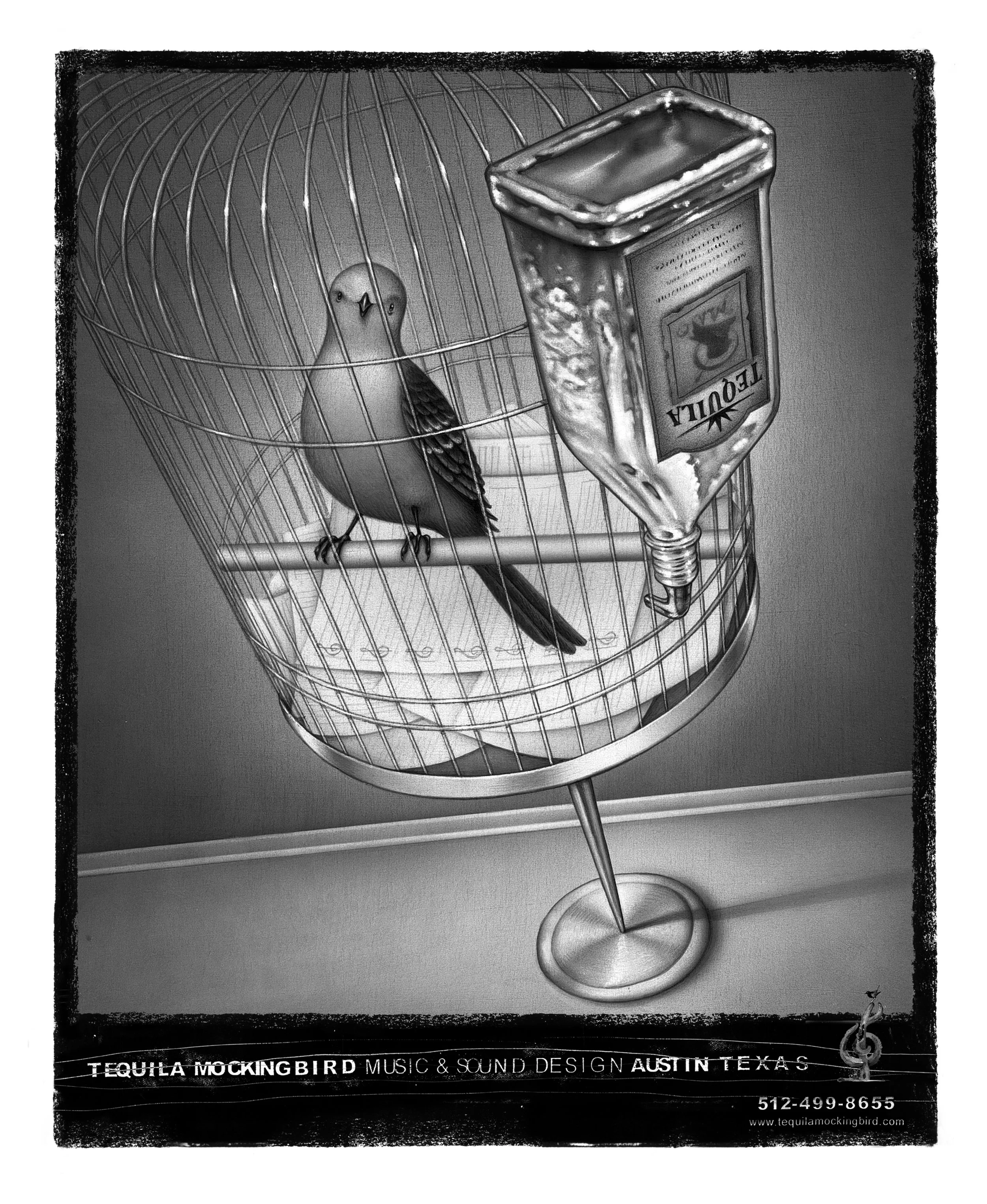 Tequila Mockingbird - Acrylic and Pencil on Paper