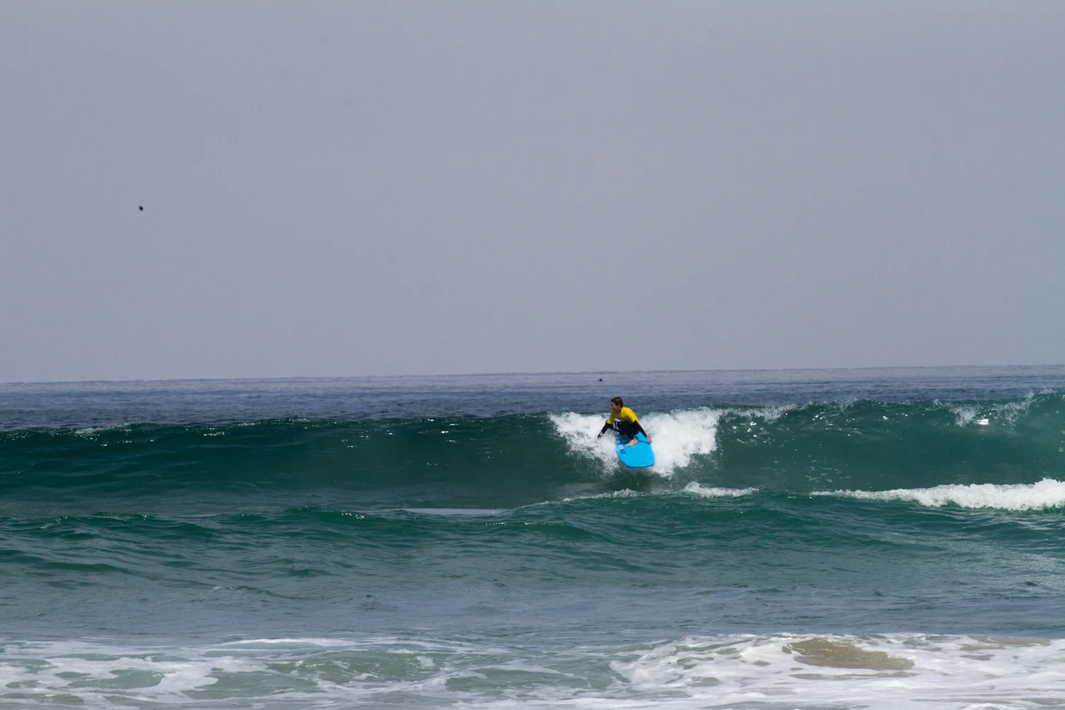 _MG_0646.jpg