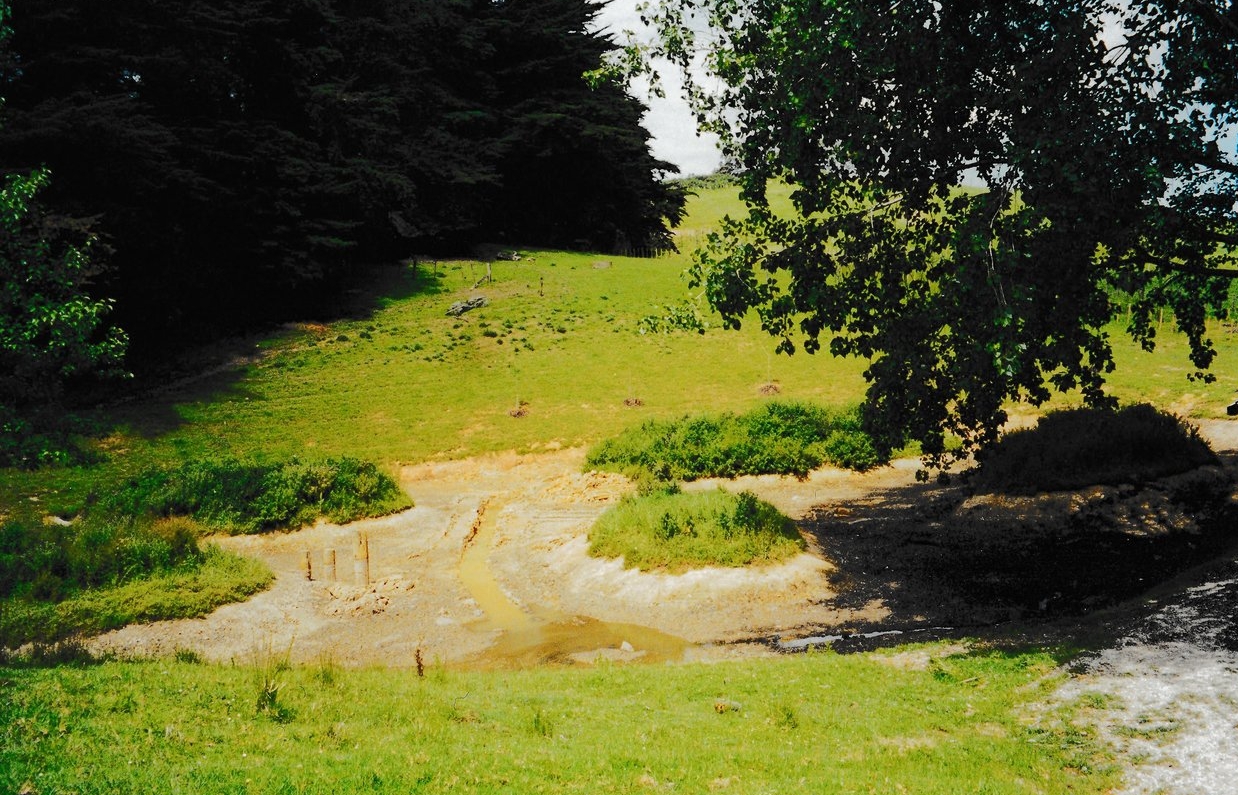 lotus pond construction.jpg