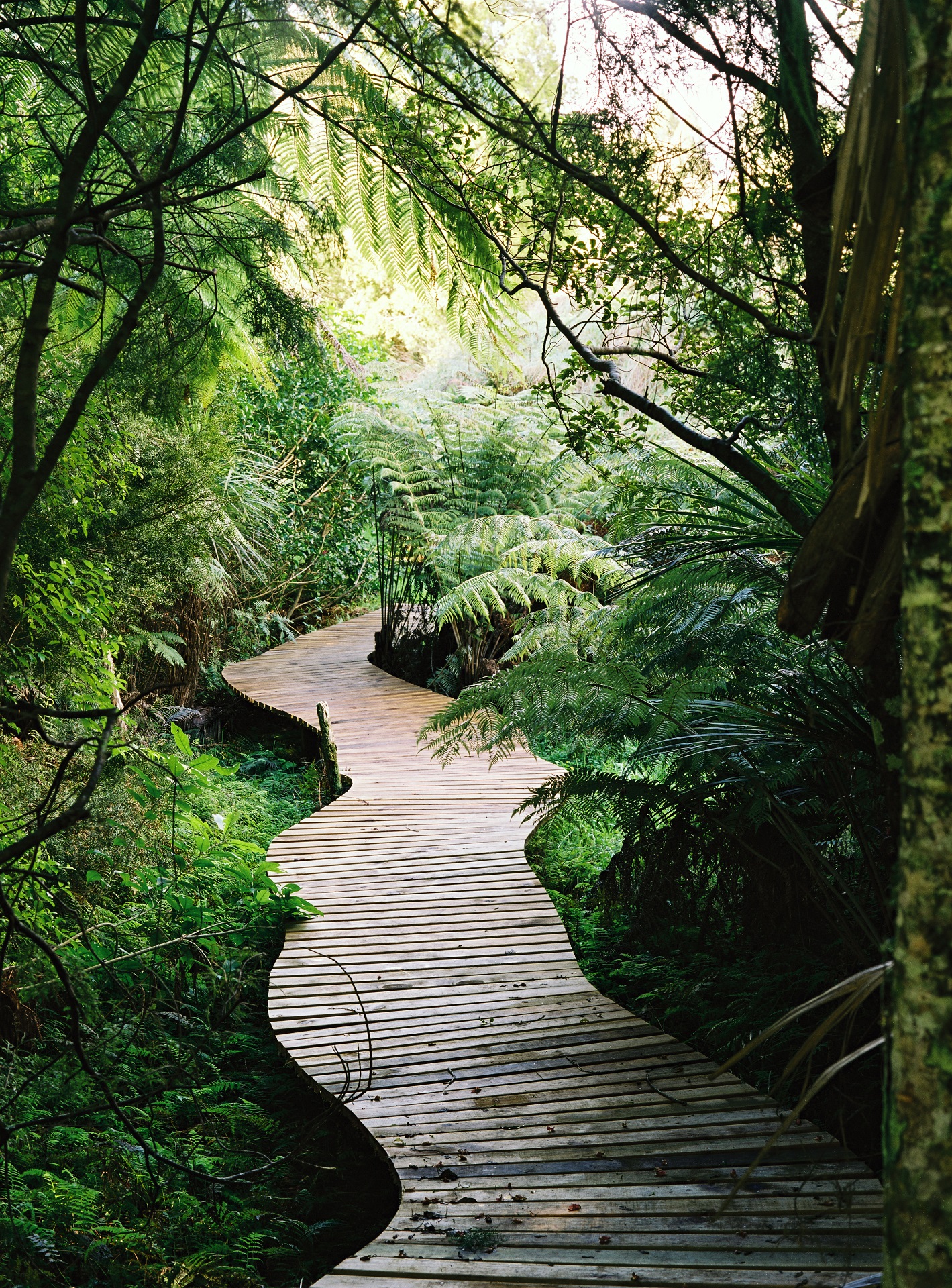 Explore the Sculpture Trail