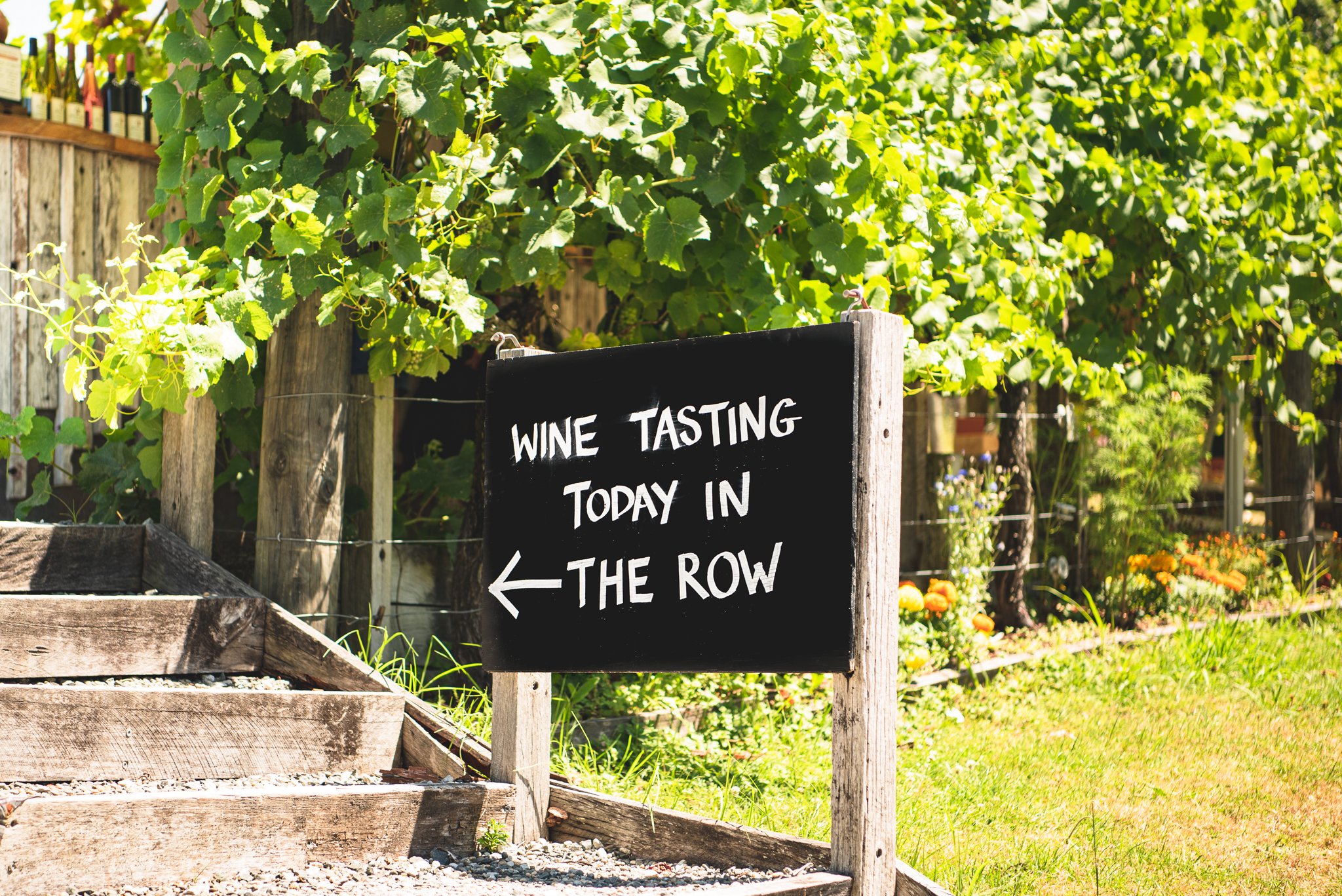 Cellar Door wine tastings