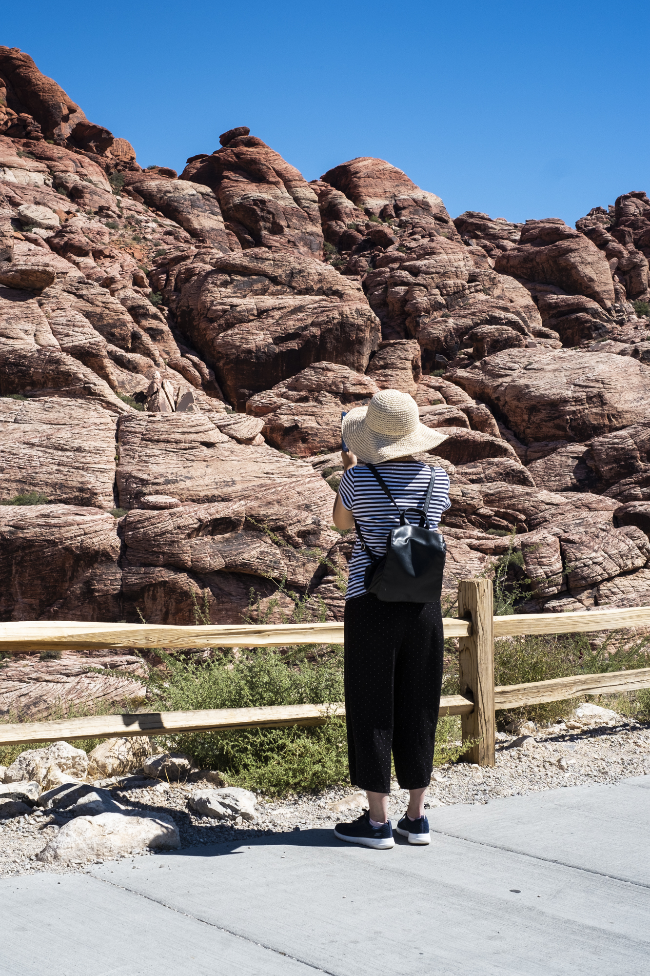 red-rock-canyon tourist.jpg